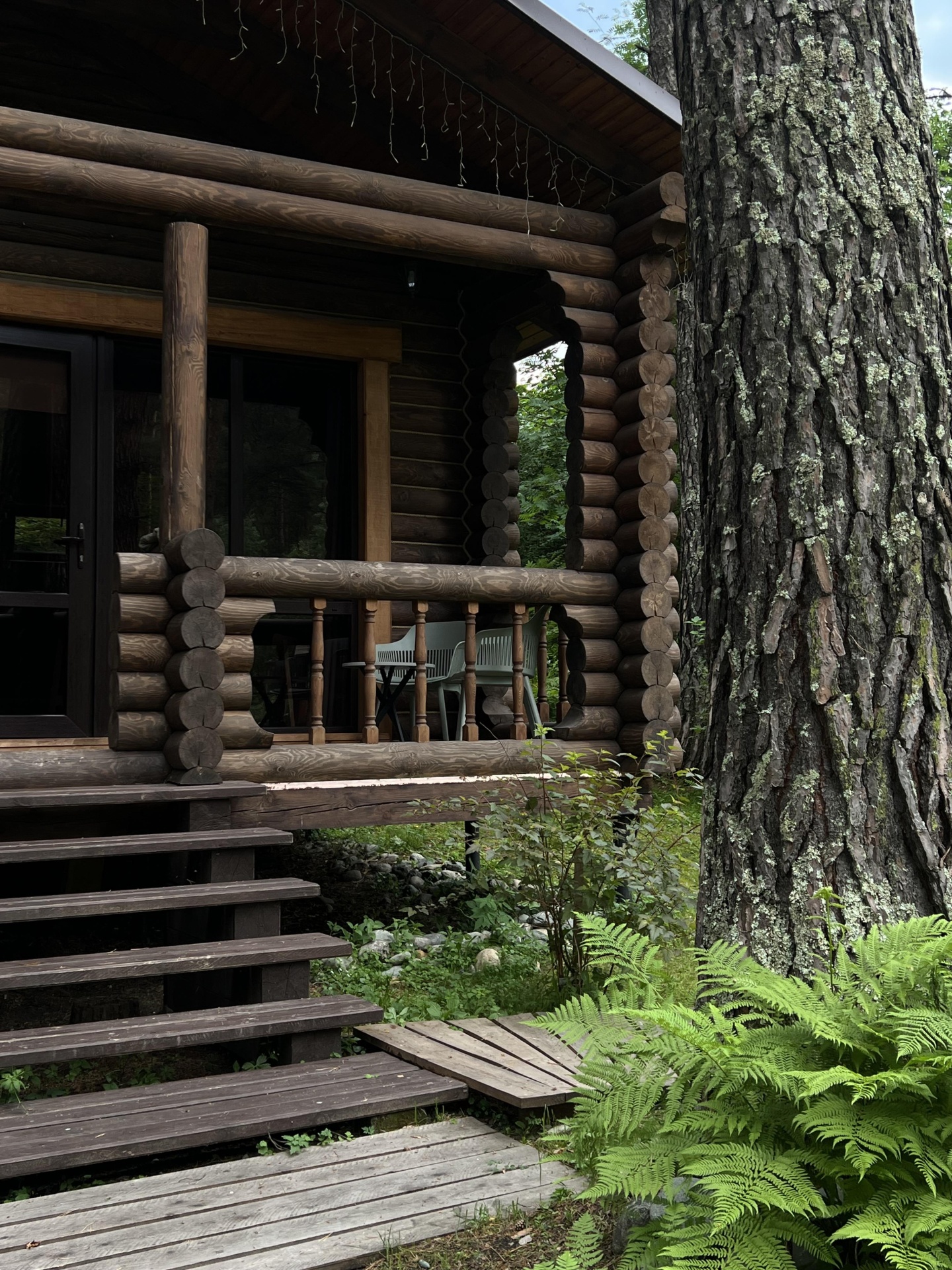 Номер комфорт улучшенный - фото 2