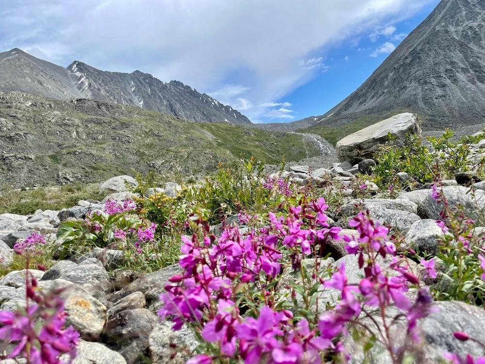 Сайлюгемский - фото 14