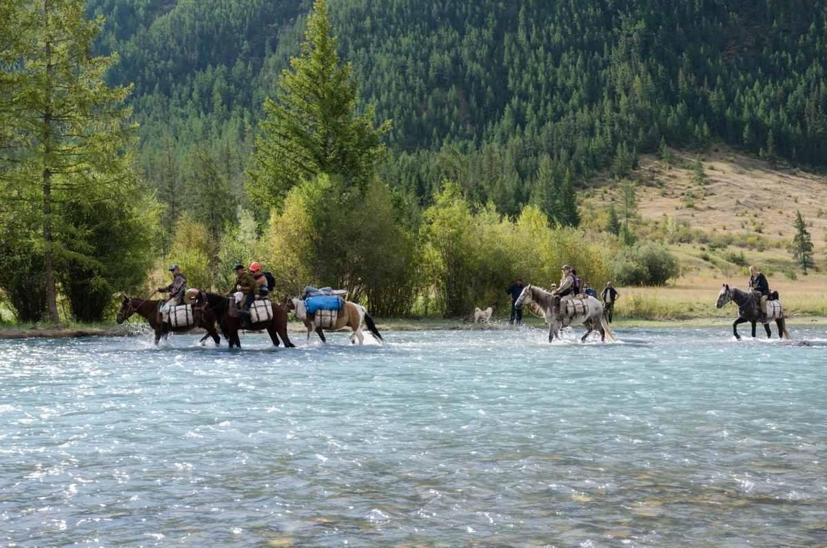 Сайлюгемский - фото 16