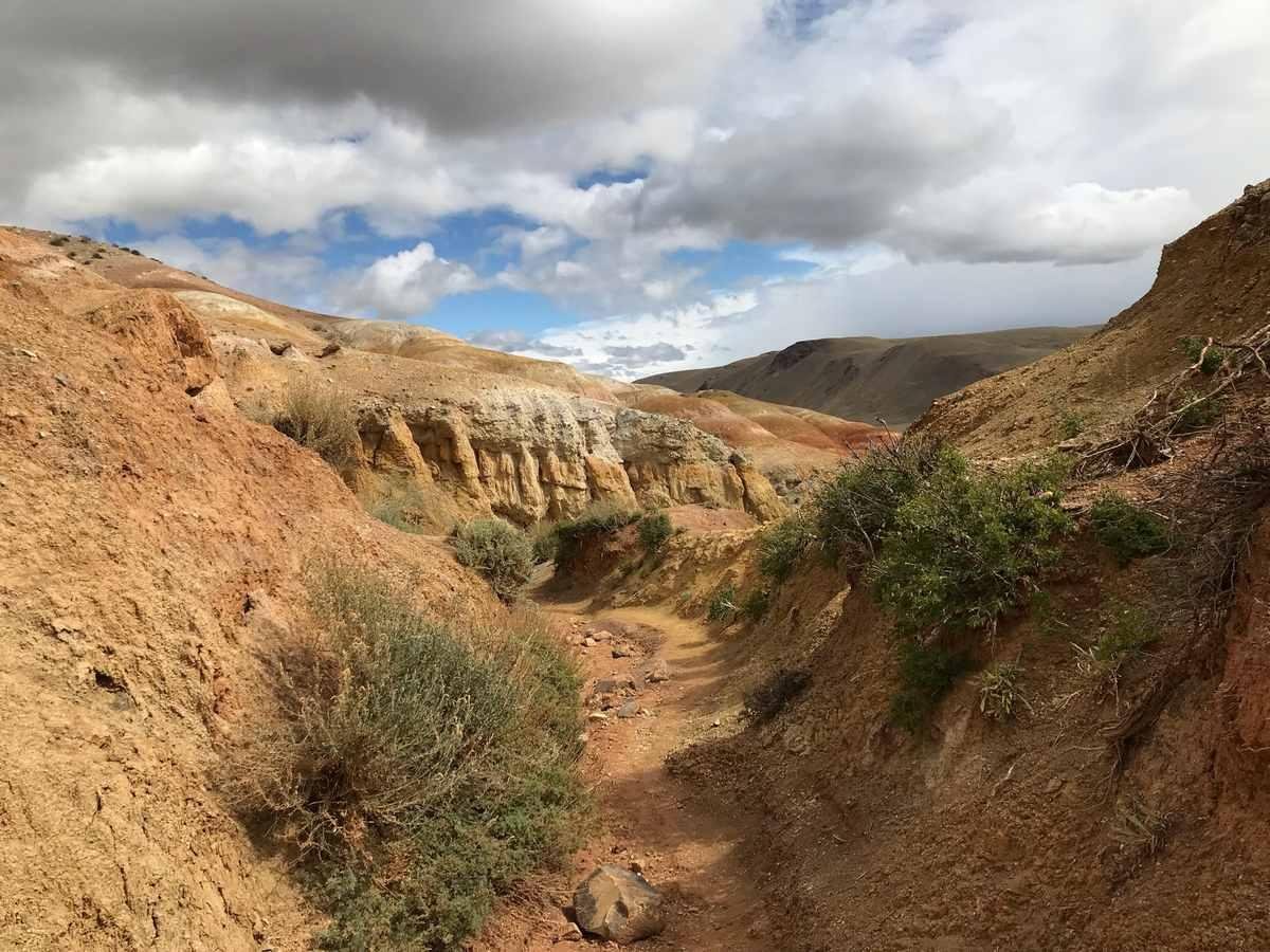 Сайлюгемский - фото 27