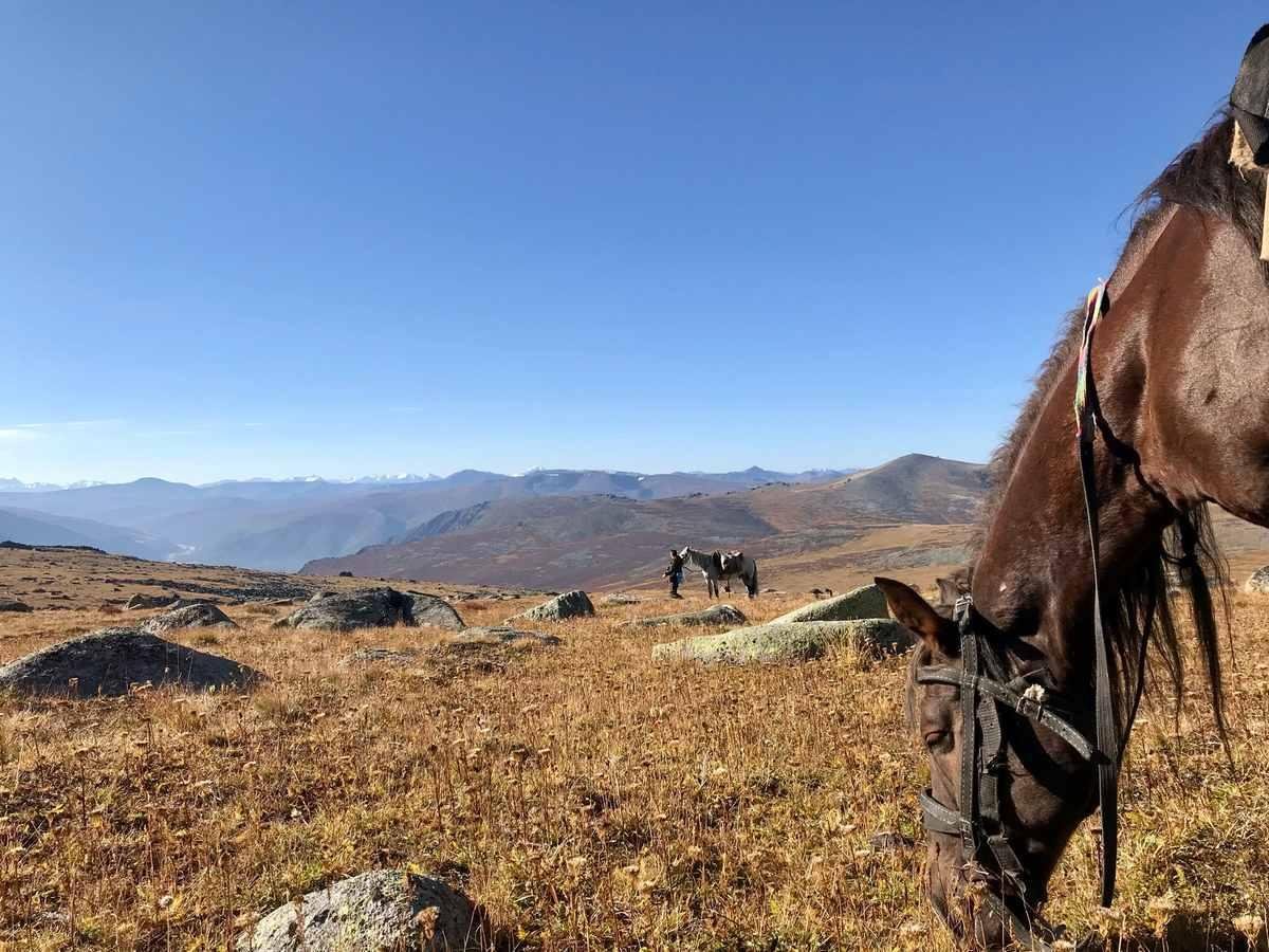 Сайлюгемский - фото 28