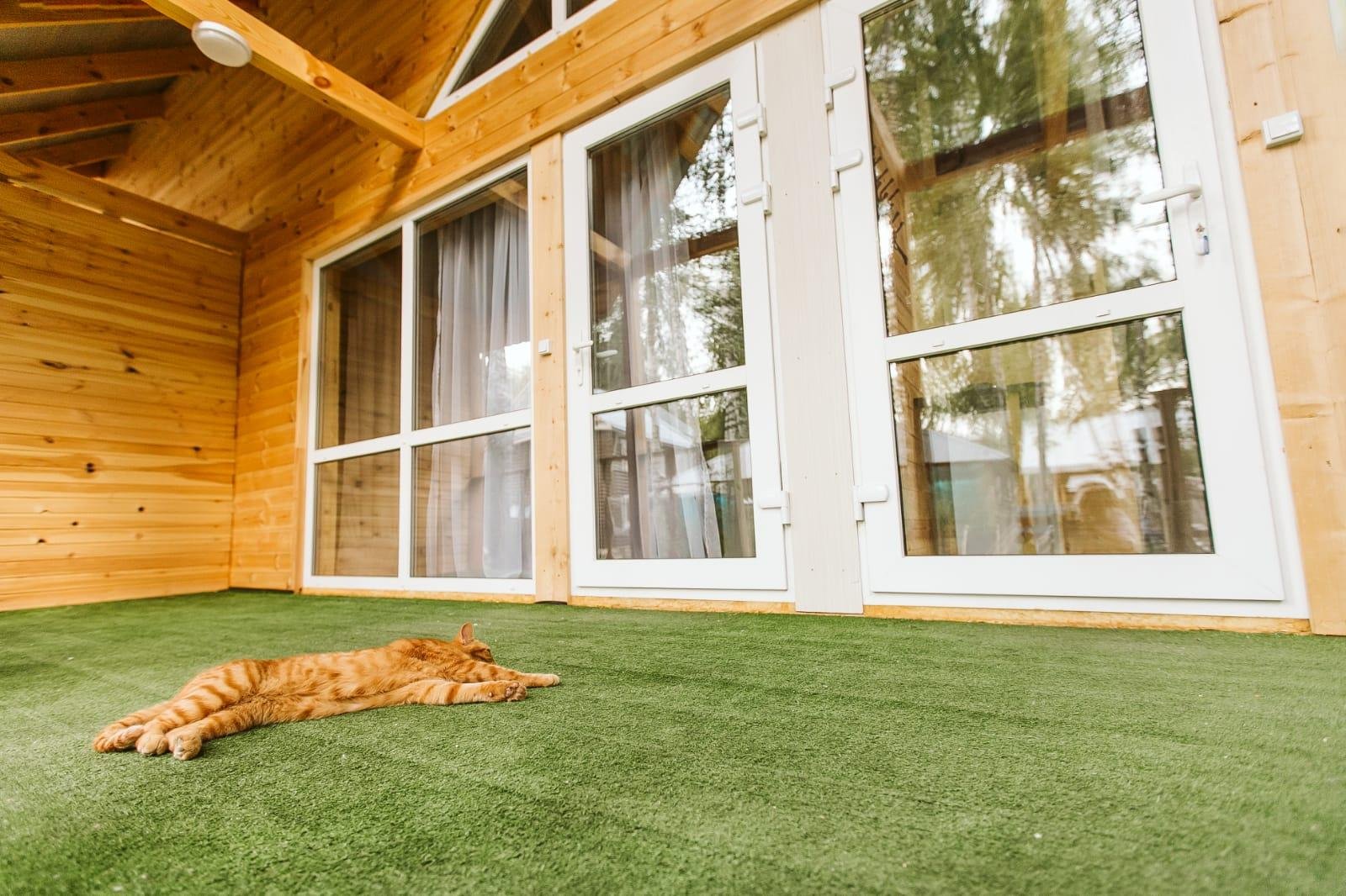 Добрыня - фото 9