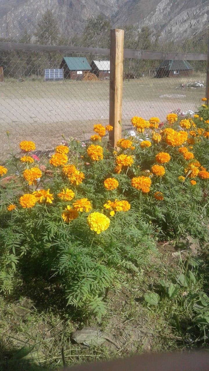 Эзен - фото 14