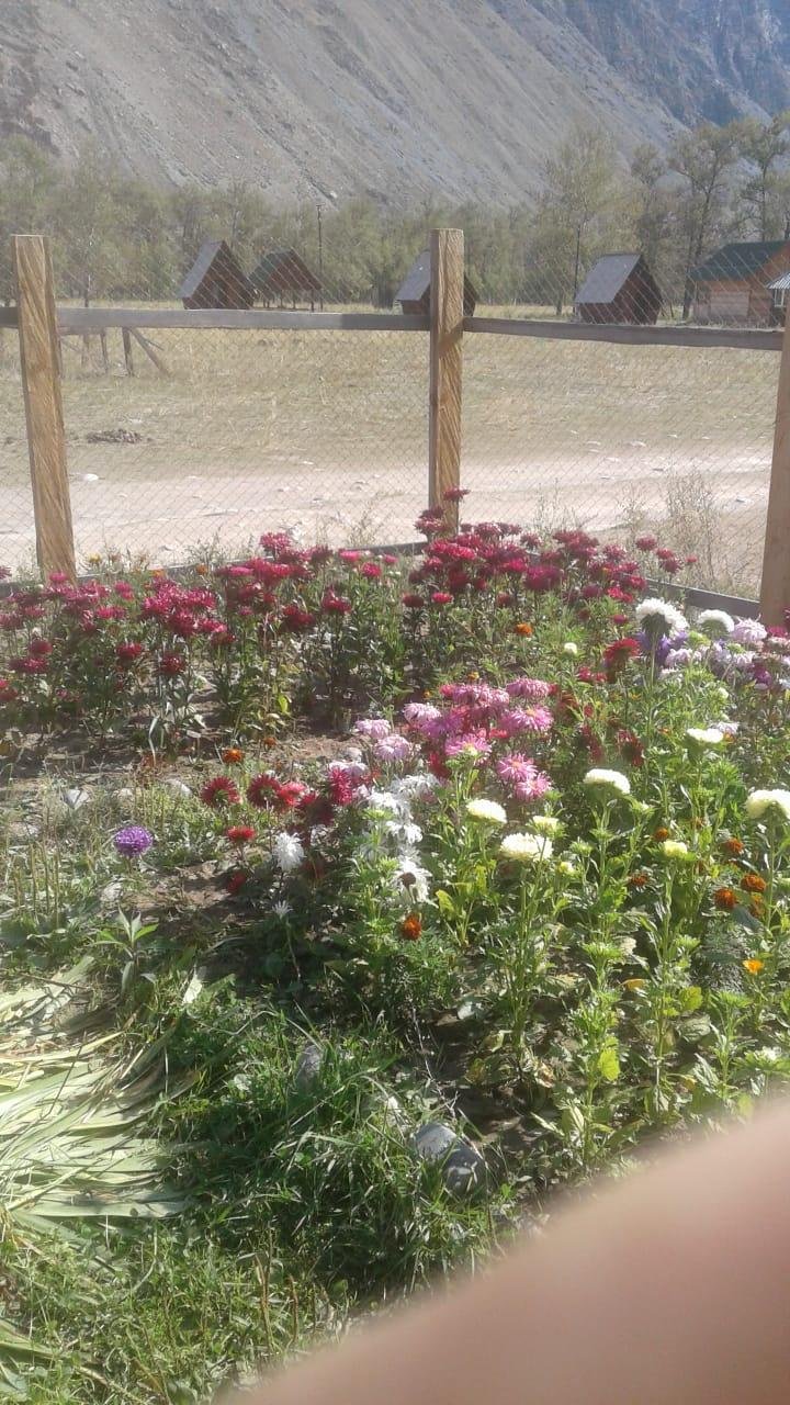 Эзен - фото 20