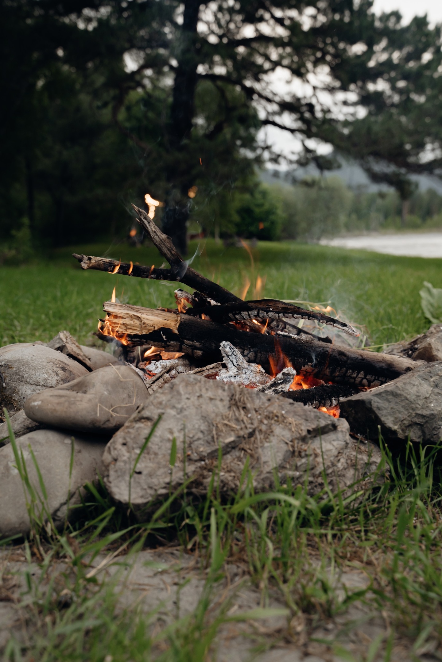 Камышла Парк - фото 42