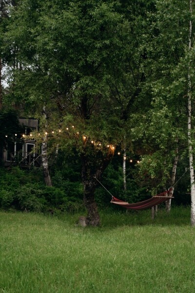 Дом на берегу Катуни - фото 4