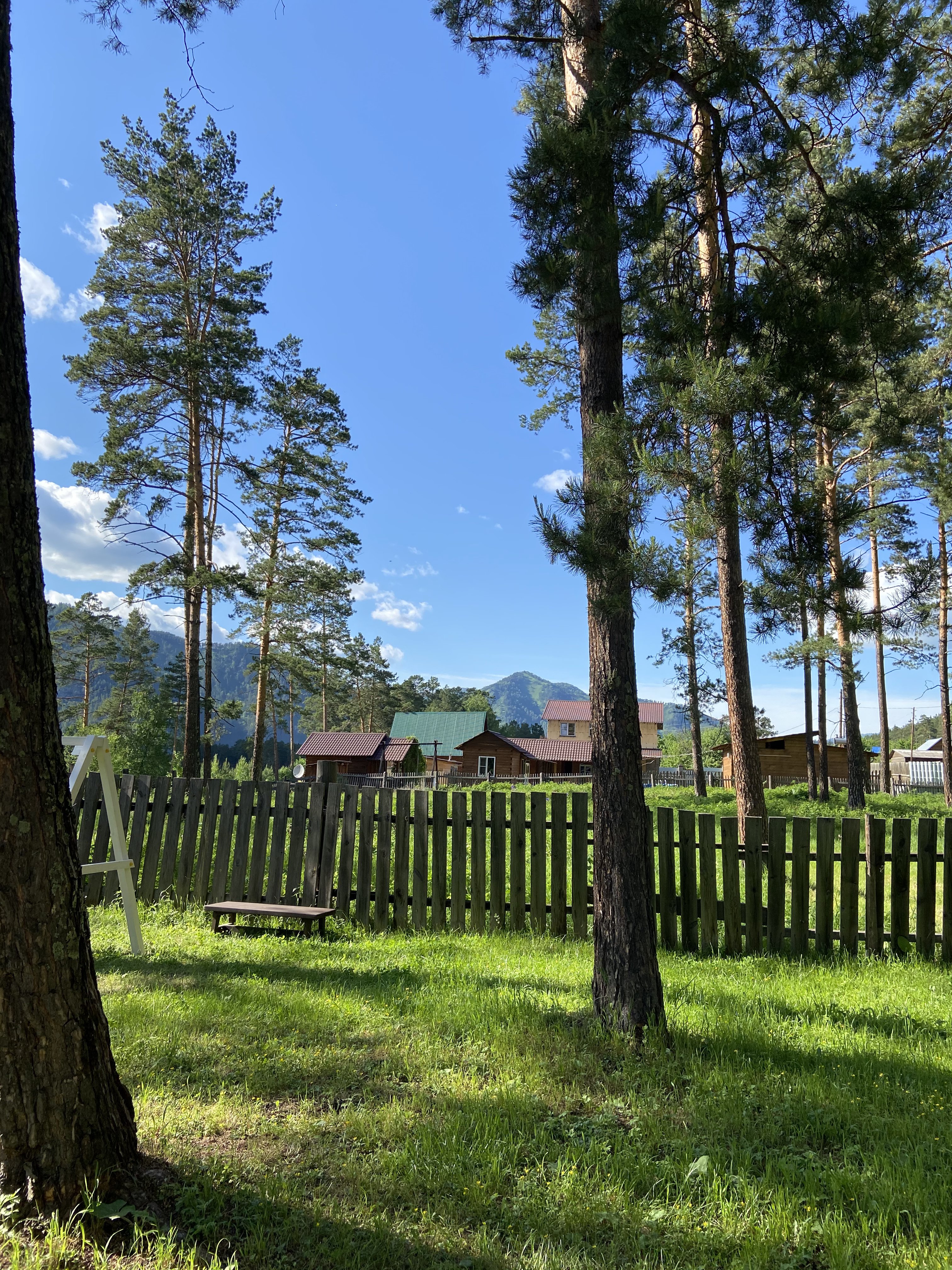 Панорама Алтай - фото 17