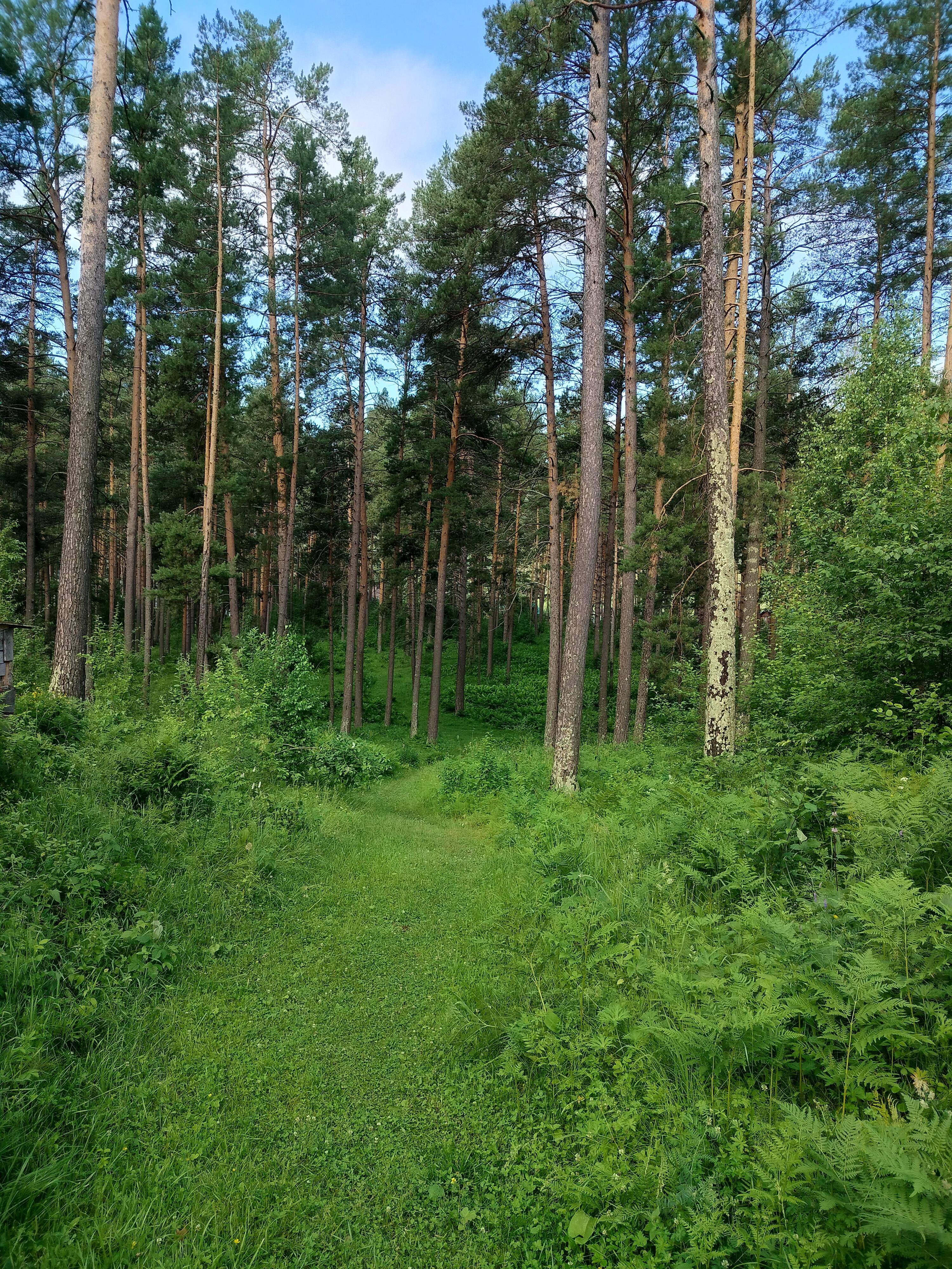 Панорама Алтай - фото 18