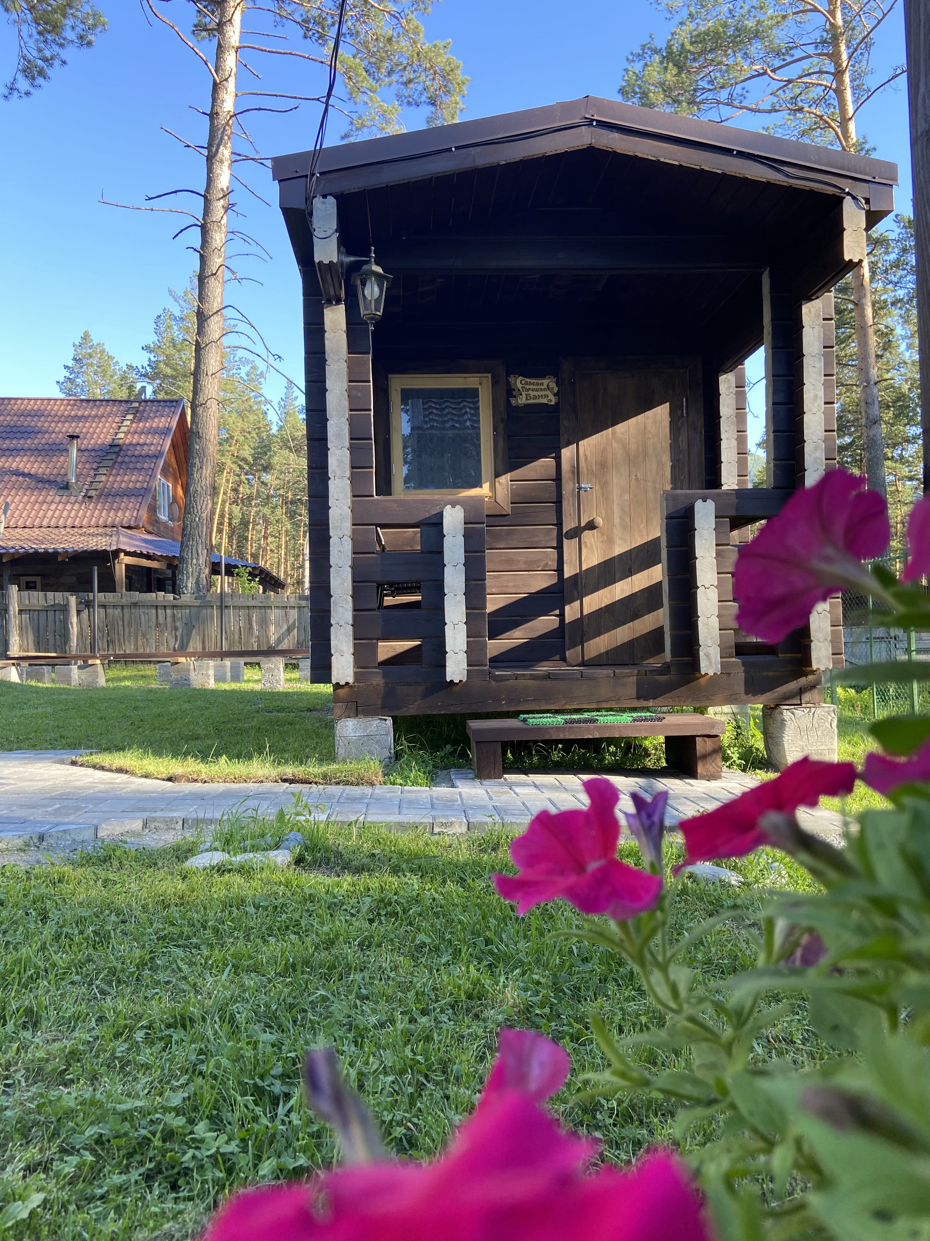 Панорама Алтай - фото 20