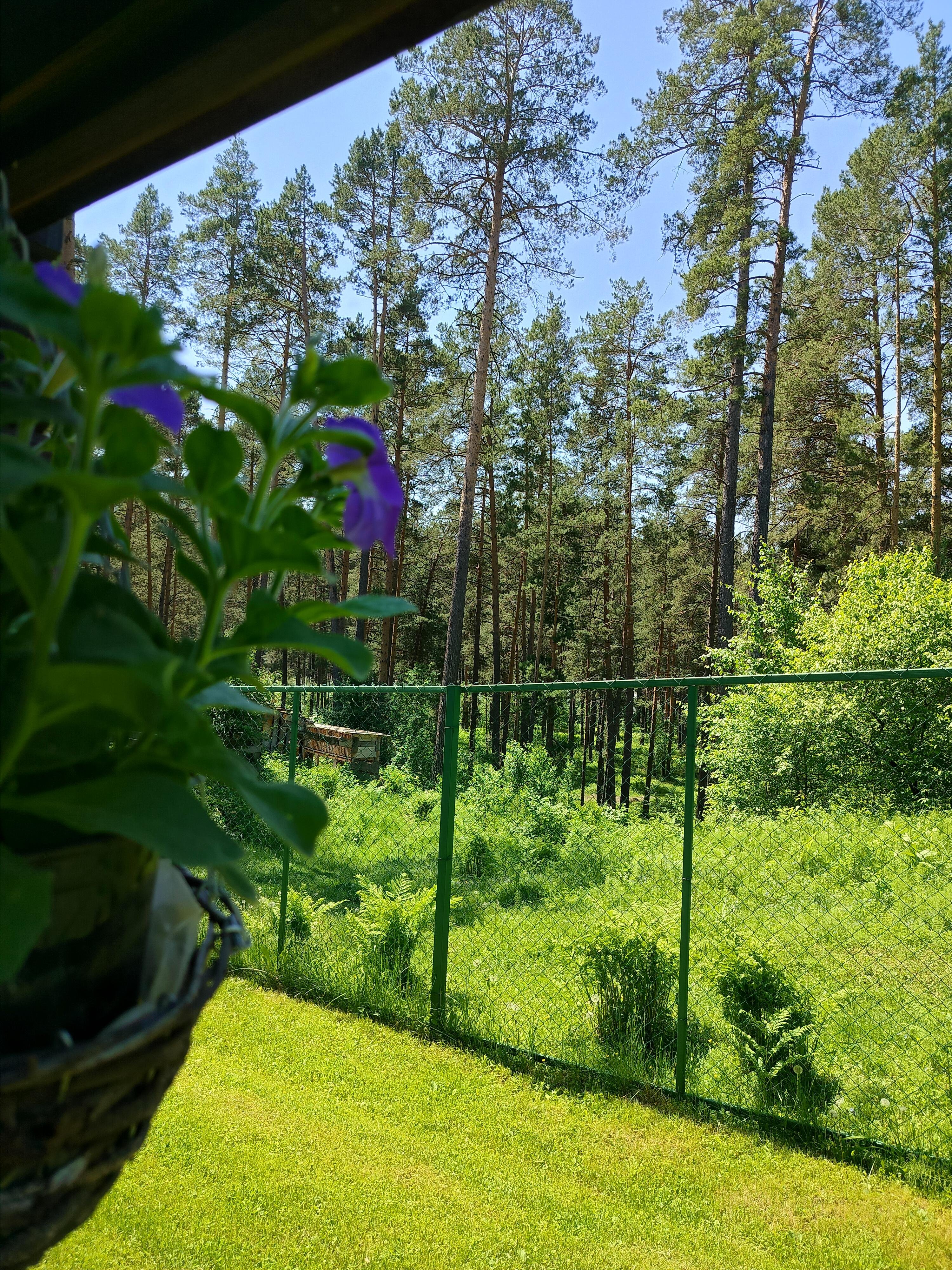 Панорама Алтай - фото 24