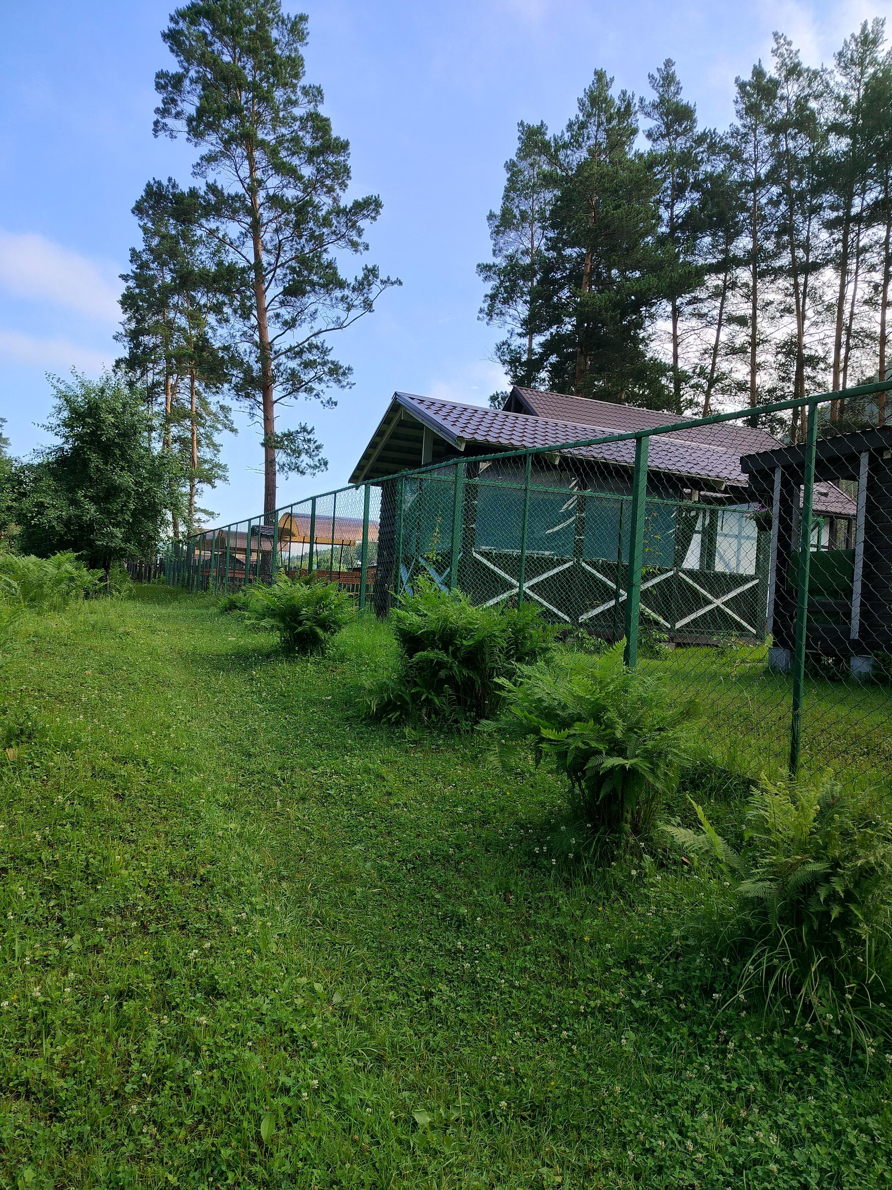 Панорама Алтай - фото 40