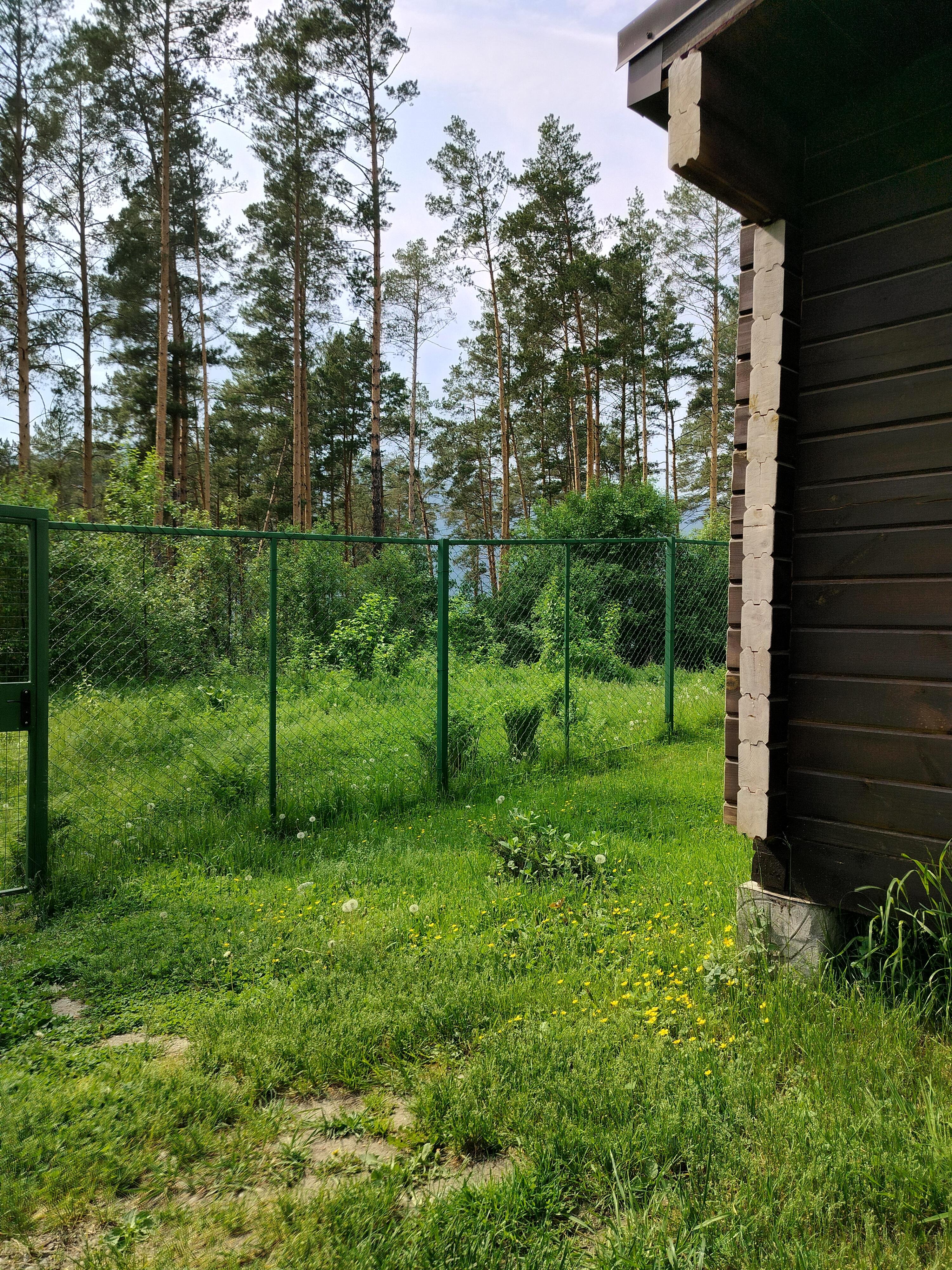 Панорама Алтай - фото 45