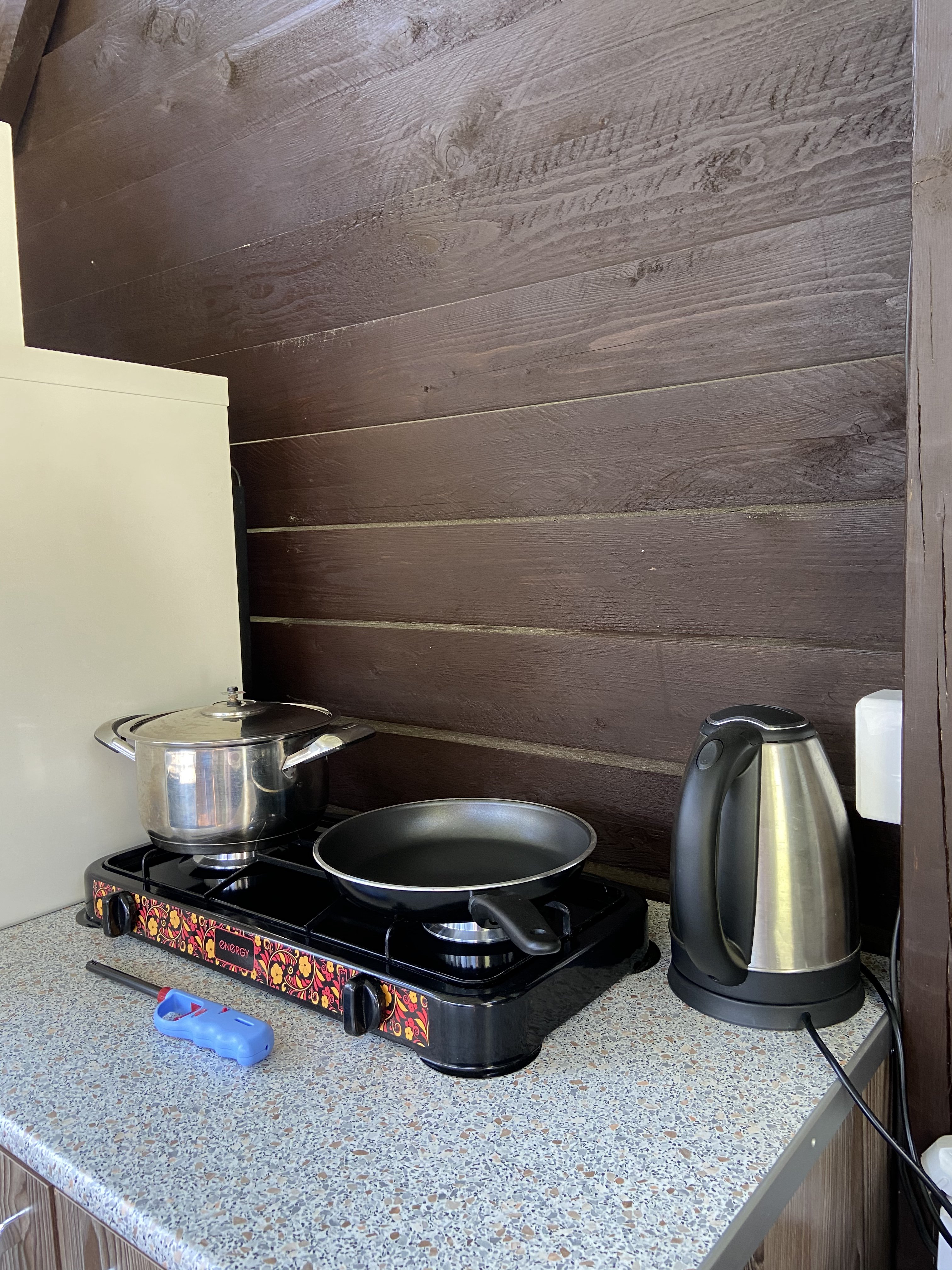 Панорама Алтай - фото 52