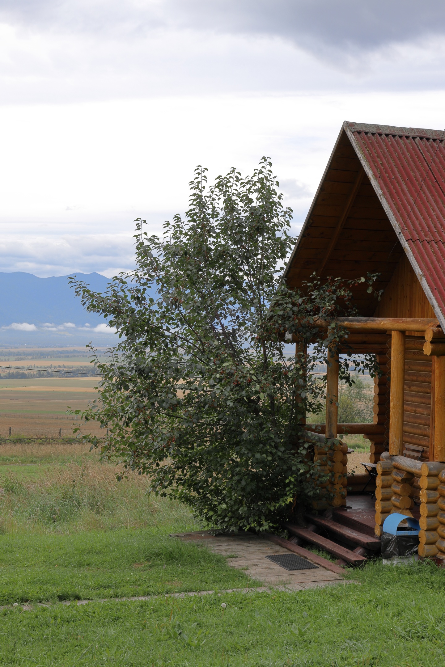 Асонов ключ - фото 38