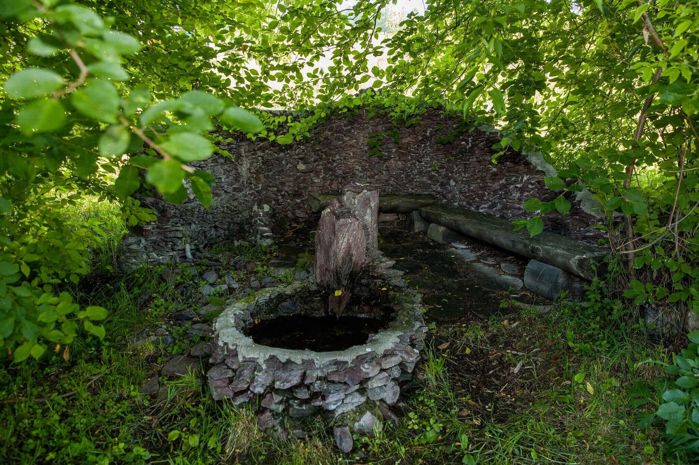 Асонов ключ - фото 87