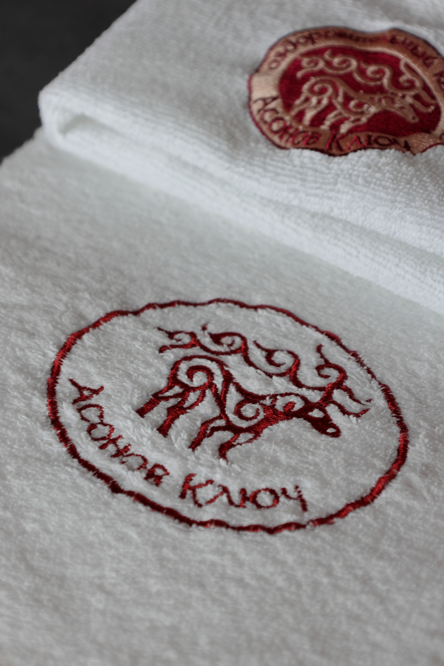 Асонов ключ - фото 91