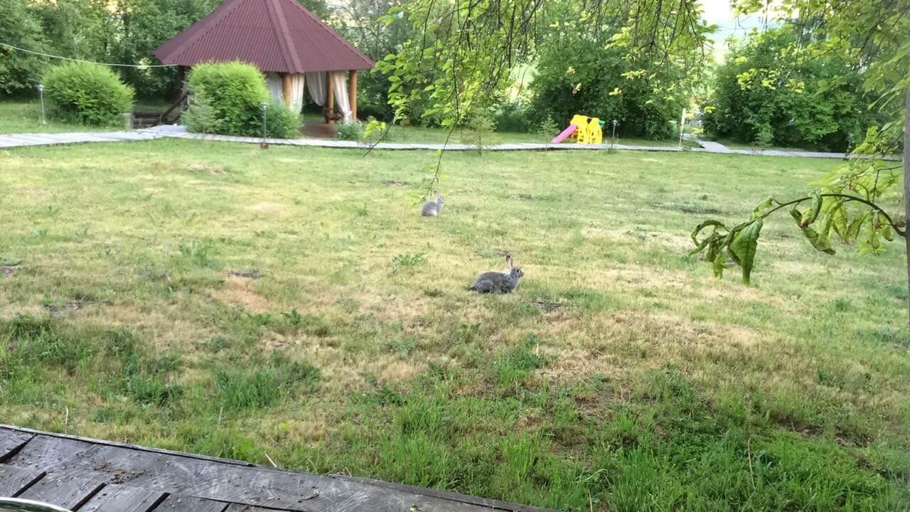 Асонов ключ - фото 105