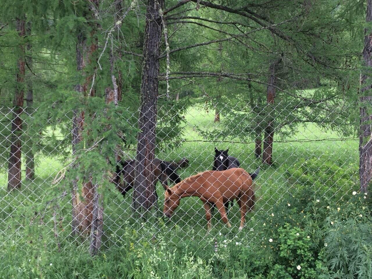 Асонов ключ - фото 106