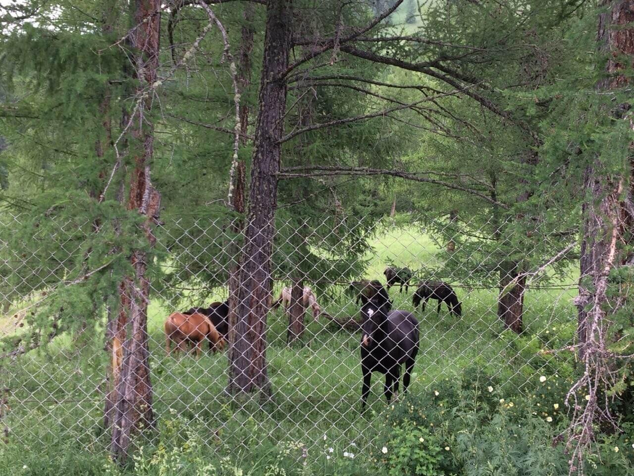 Асонов ключ - фото 109