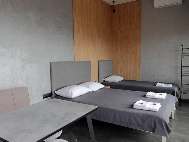 Двухместный номер с 2 односпальными кроватями с видом на горы - фото 5