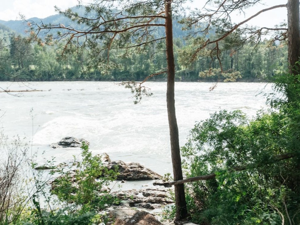 Кемпинг «ЭРА» - фото 4