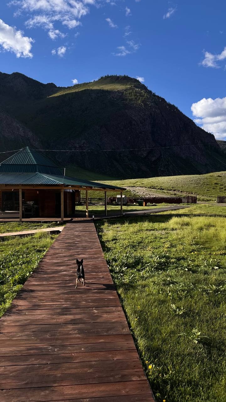 Акташ Алтай-Кабай - фото 38