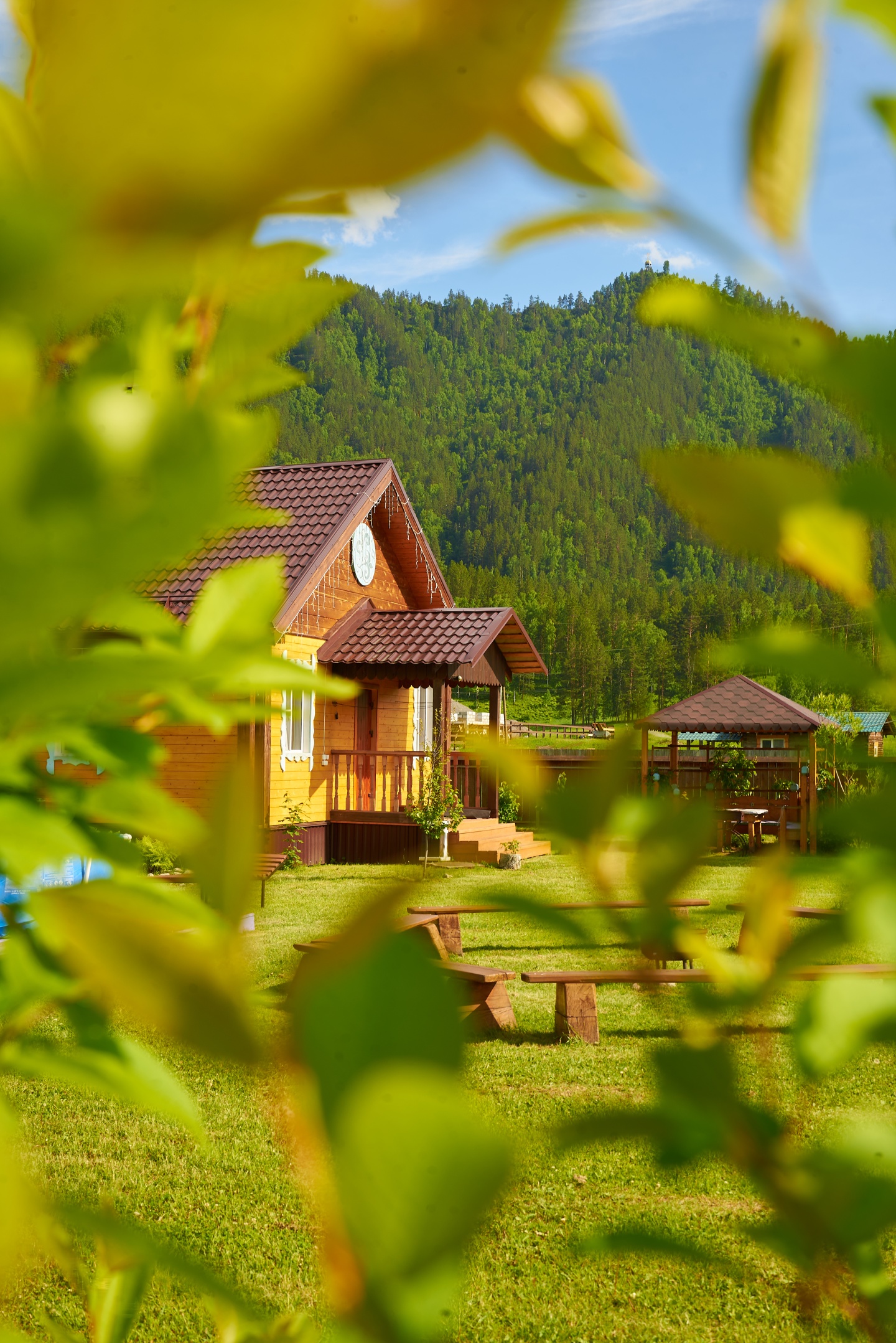 Литопур - фото 16