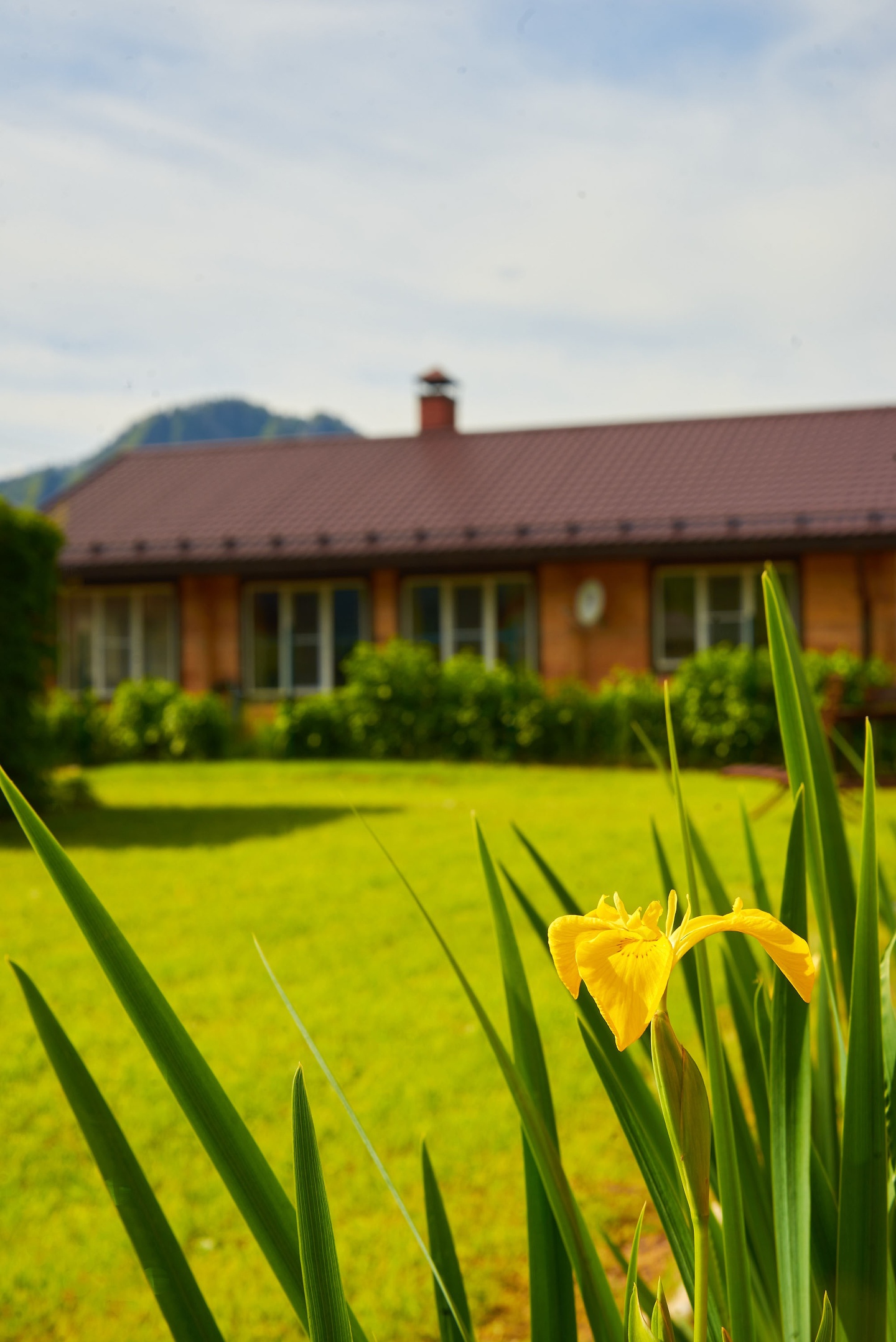 Литопур - фото 44