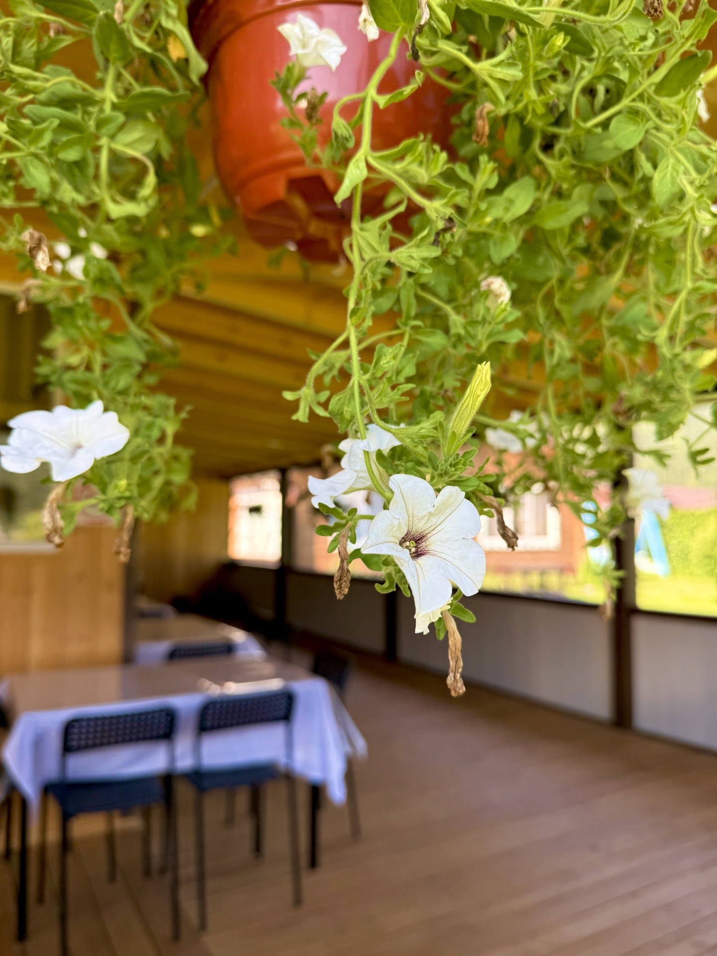 Литопур - фото 56