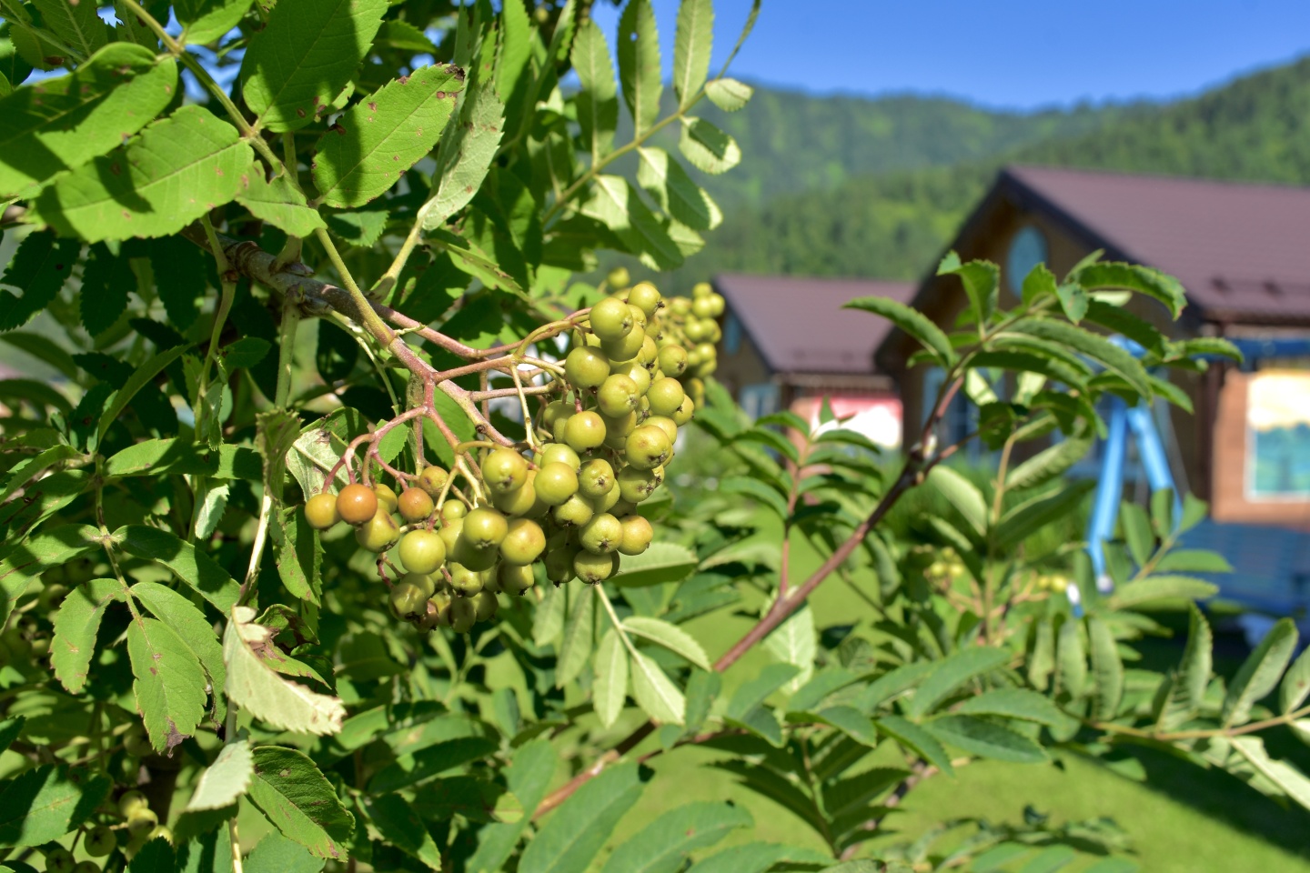 Литопур - фото 67