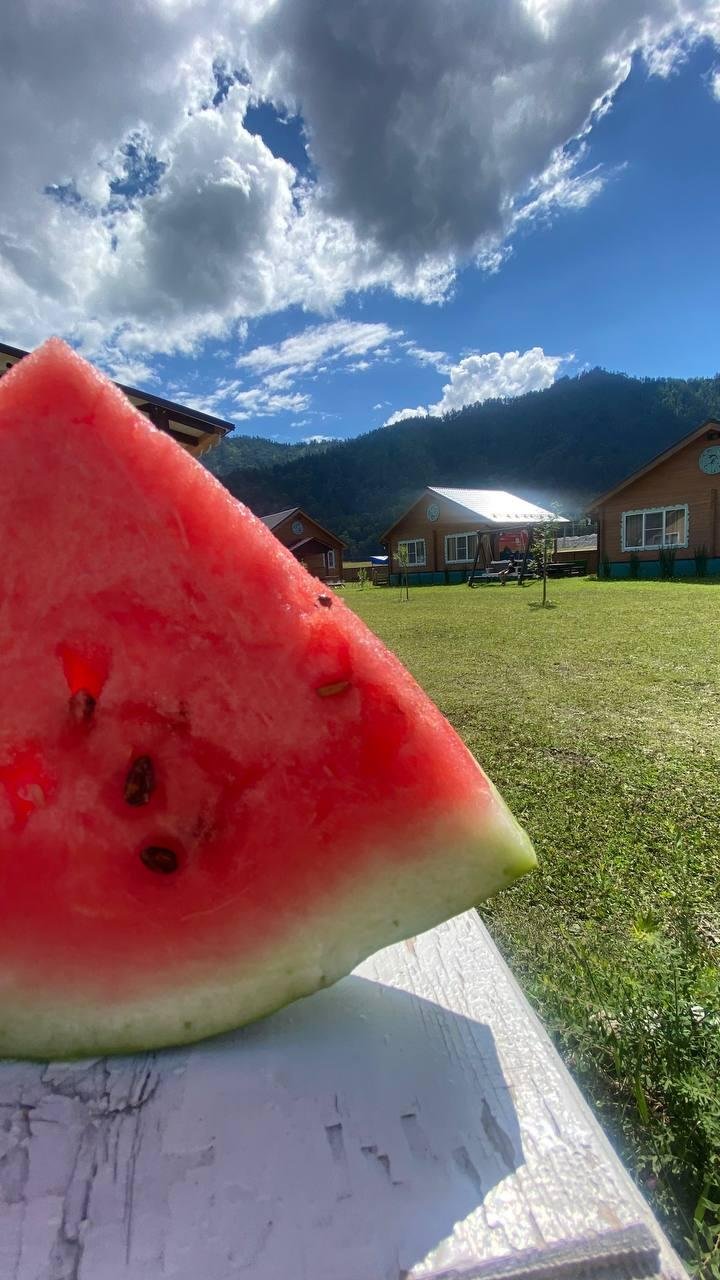 Литопур - фото 76