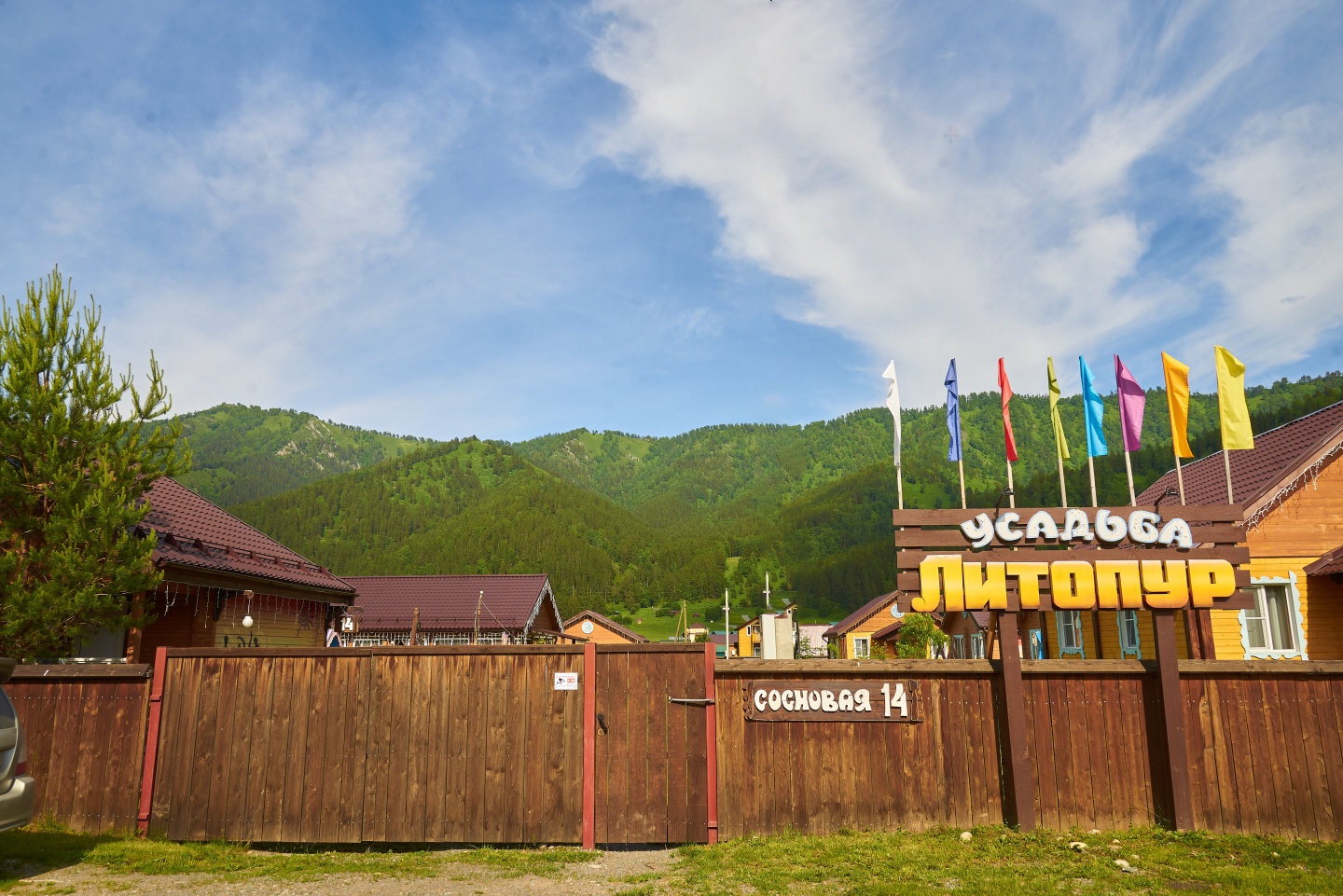 Литопур - фото 111