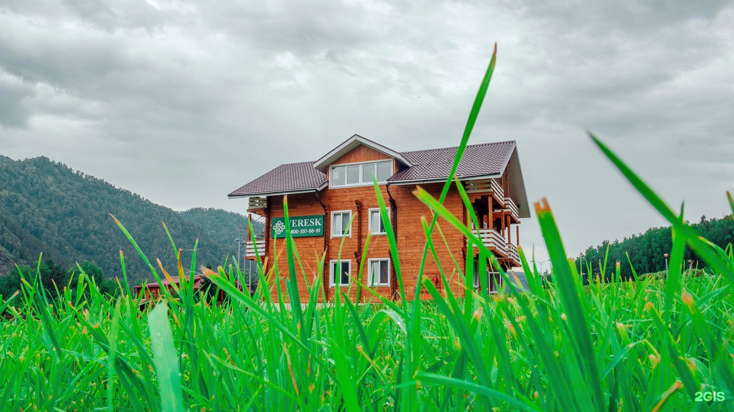 Veresk Altai - фото 7