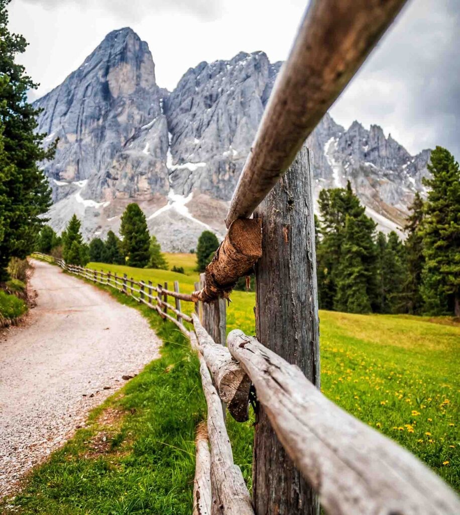 Митькина заимка - фото 14