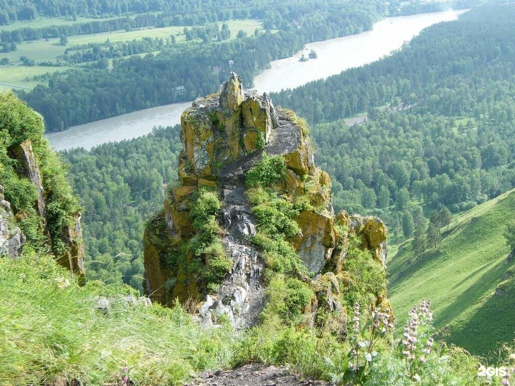 Veresk Altai - фото 18