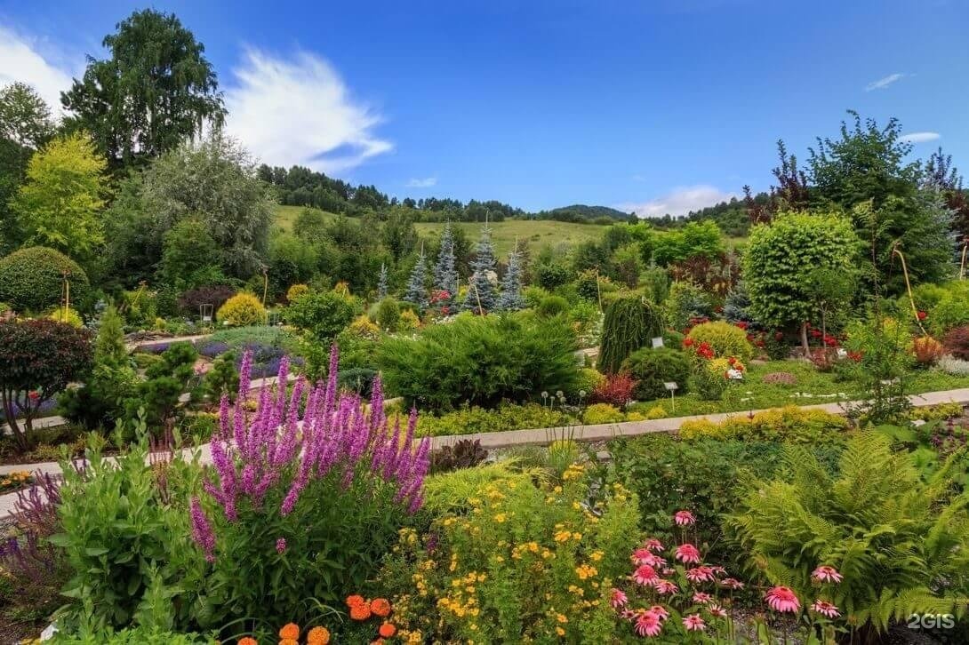 Veresk Altai - фото 19