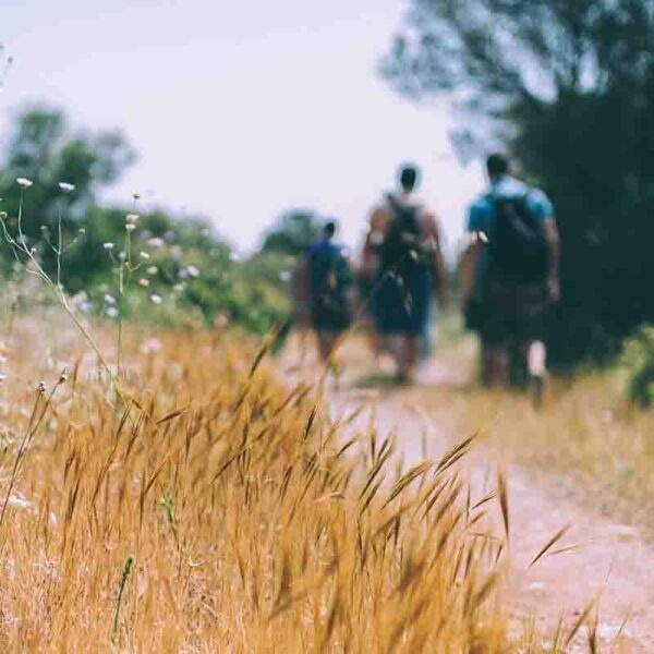 Митькина заимка - фото 46