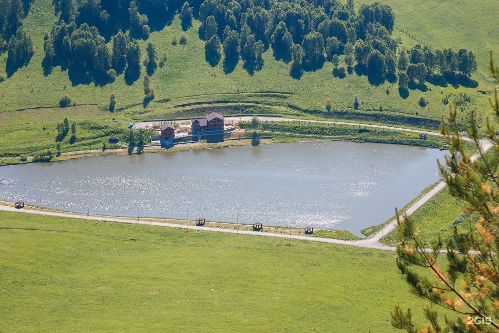 Veresk Altai - фото 22