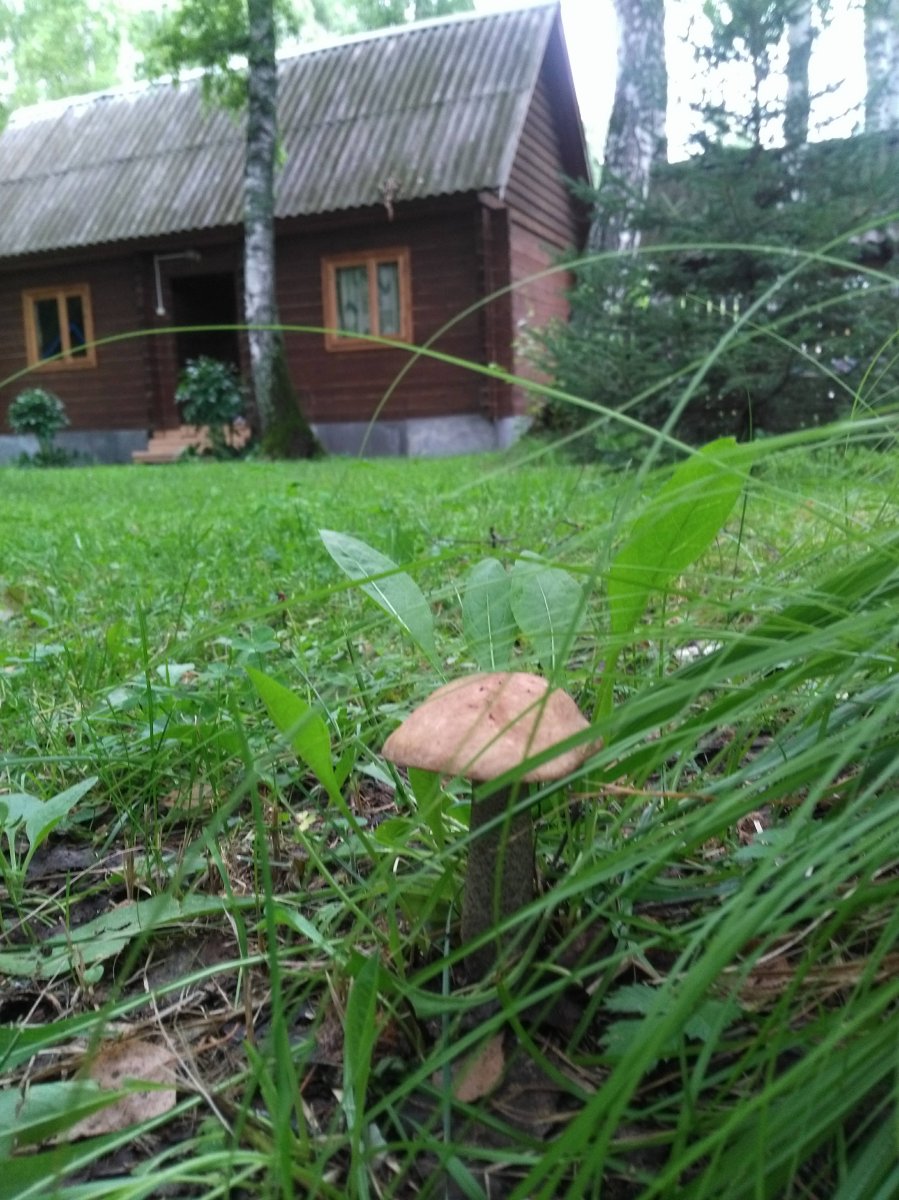 Митькина заимка - фото 68