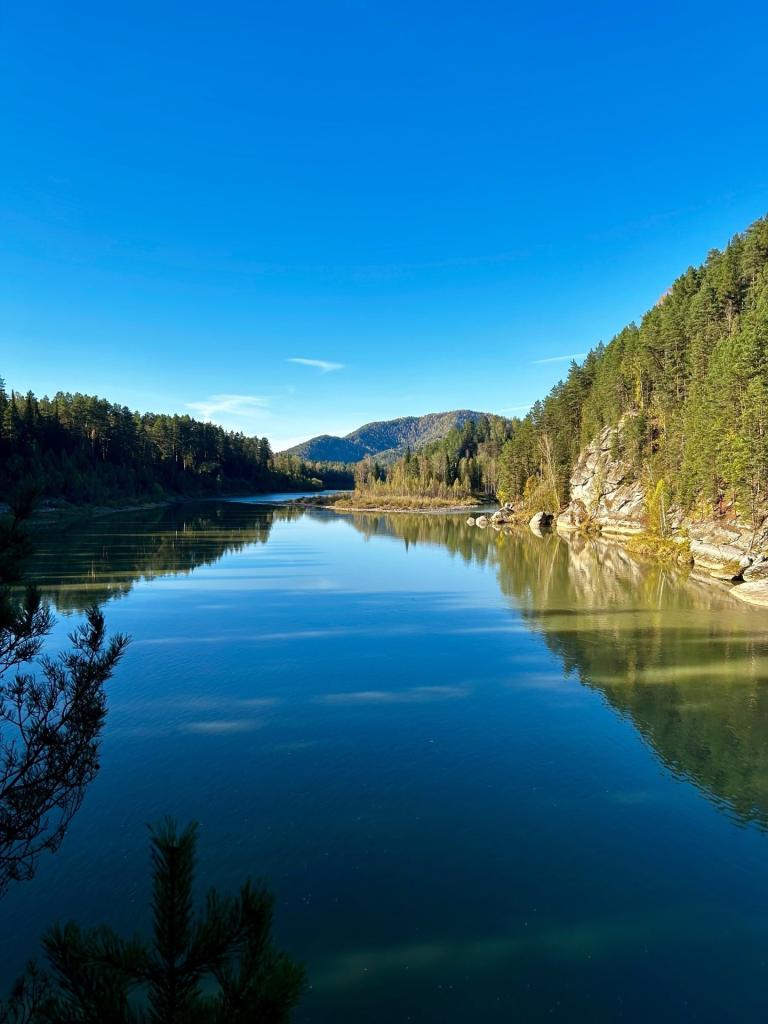 Берег лебеди - фото 6