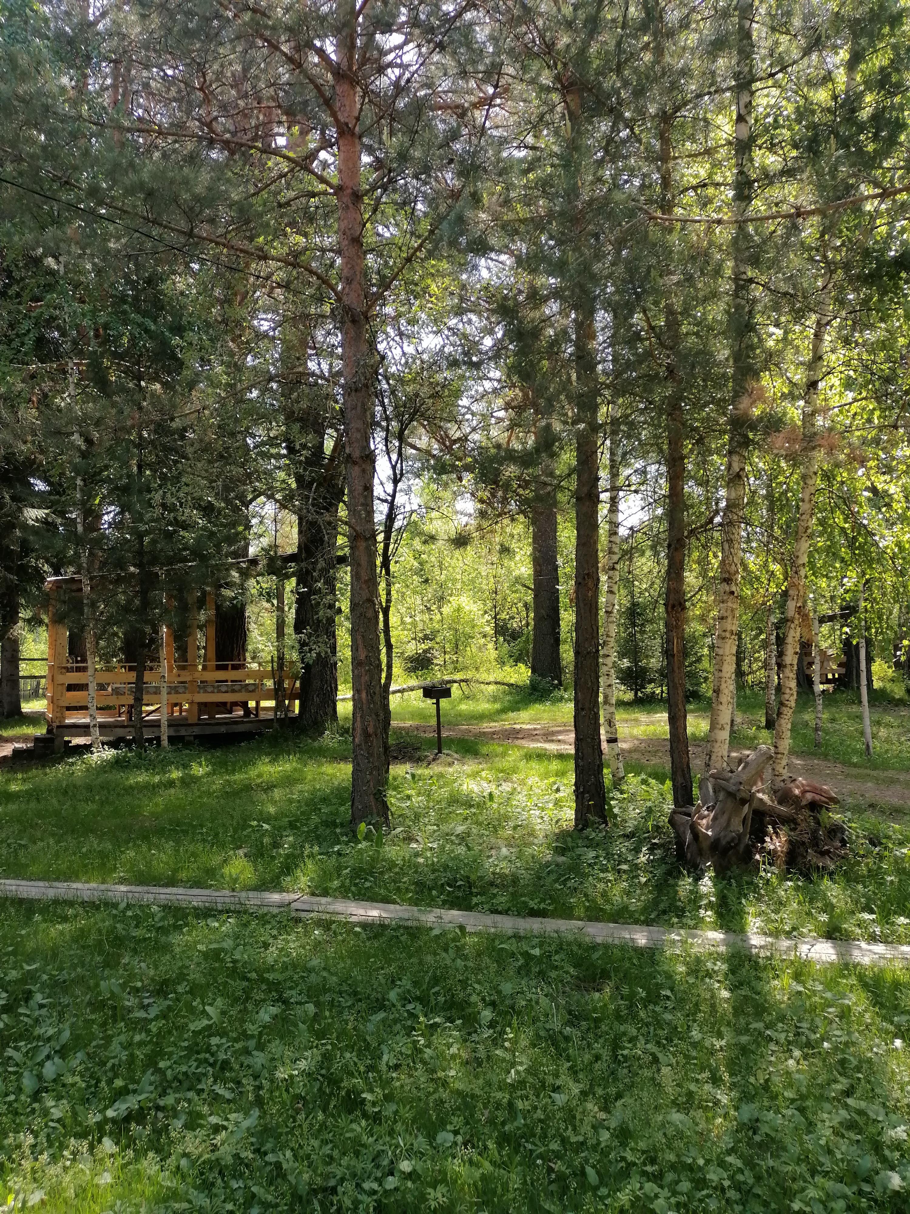 Берег лебеди - фото 16