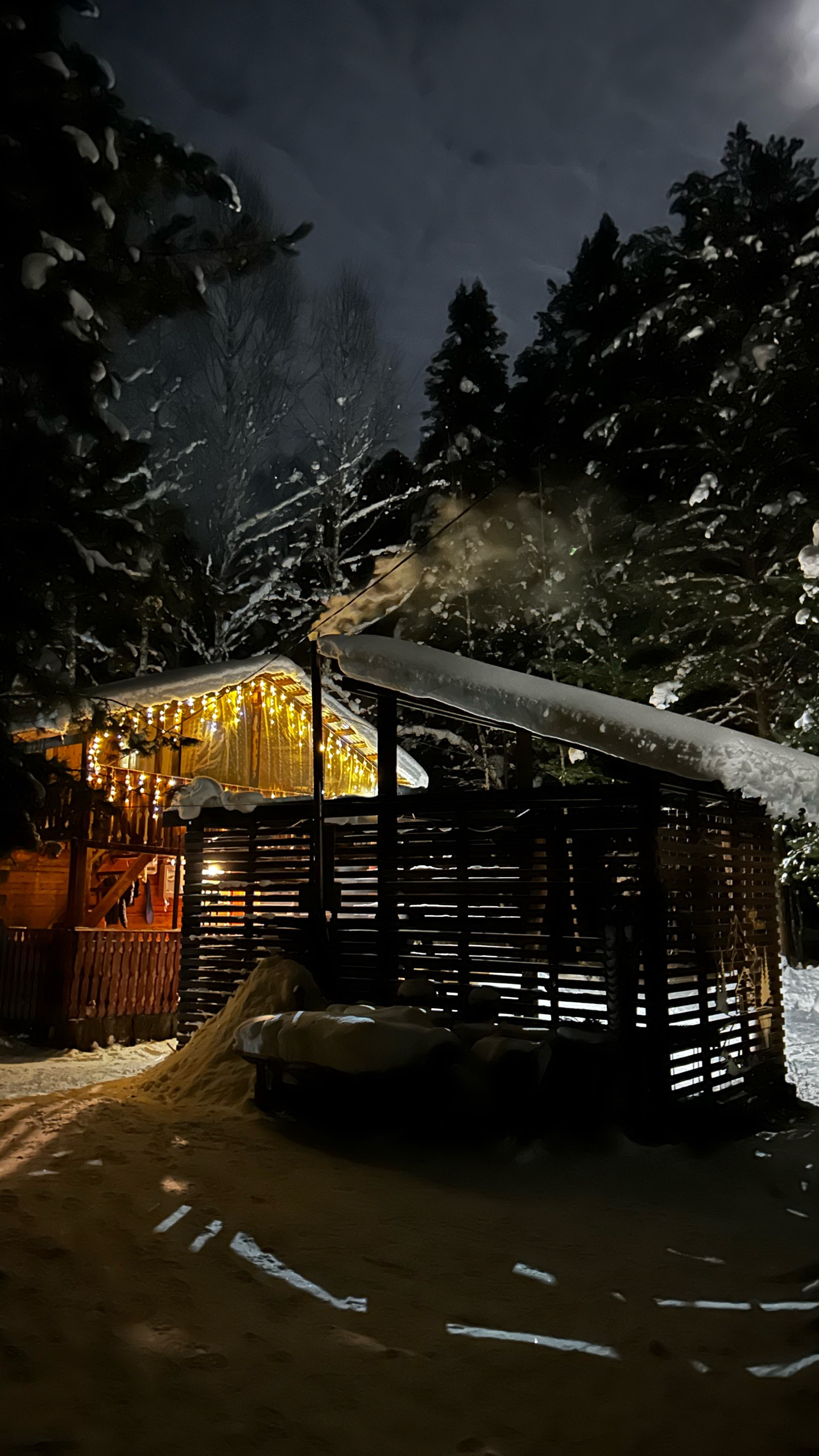 Берег лебеди - фото 17