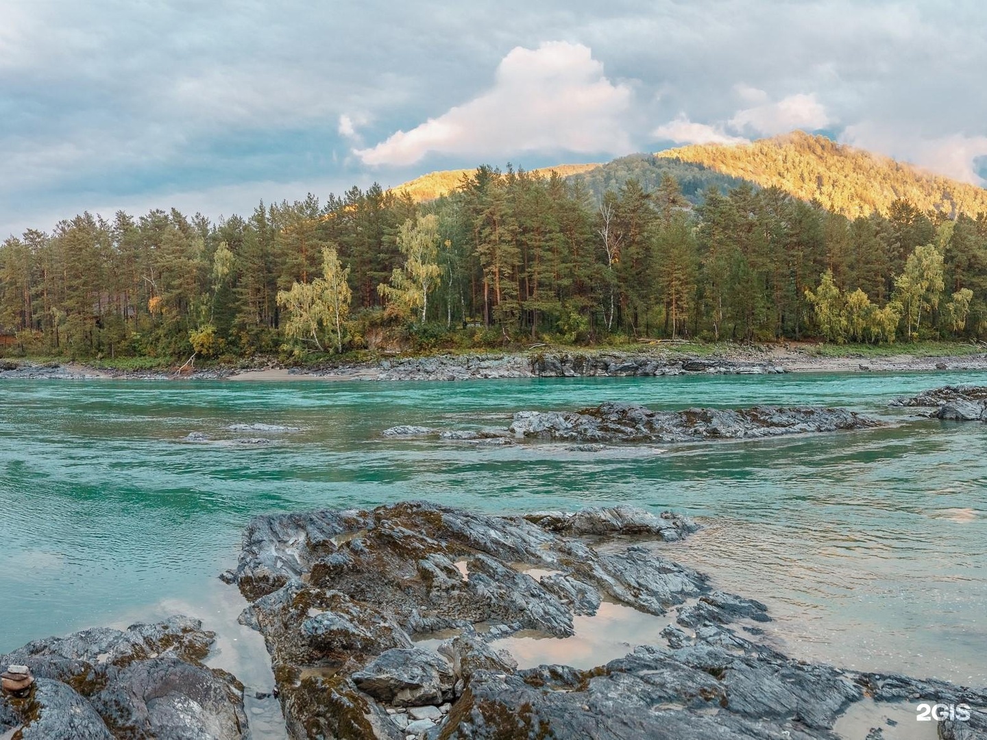 Veresk Altai - фото 28