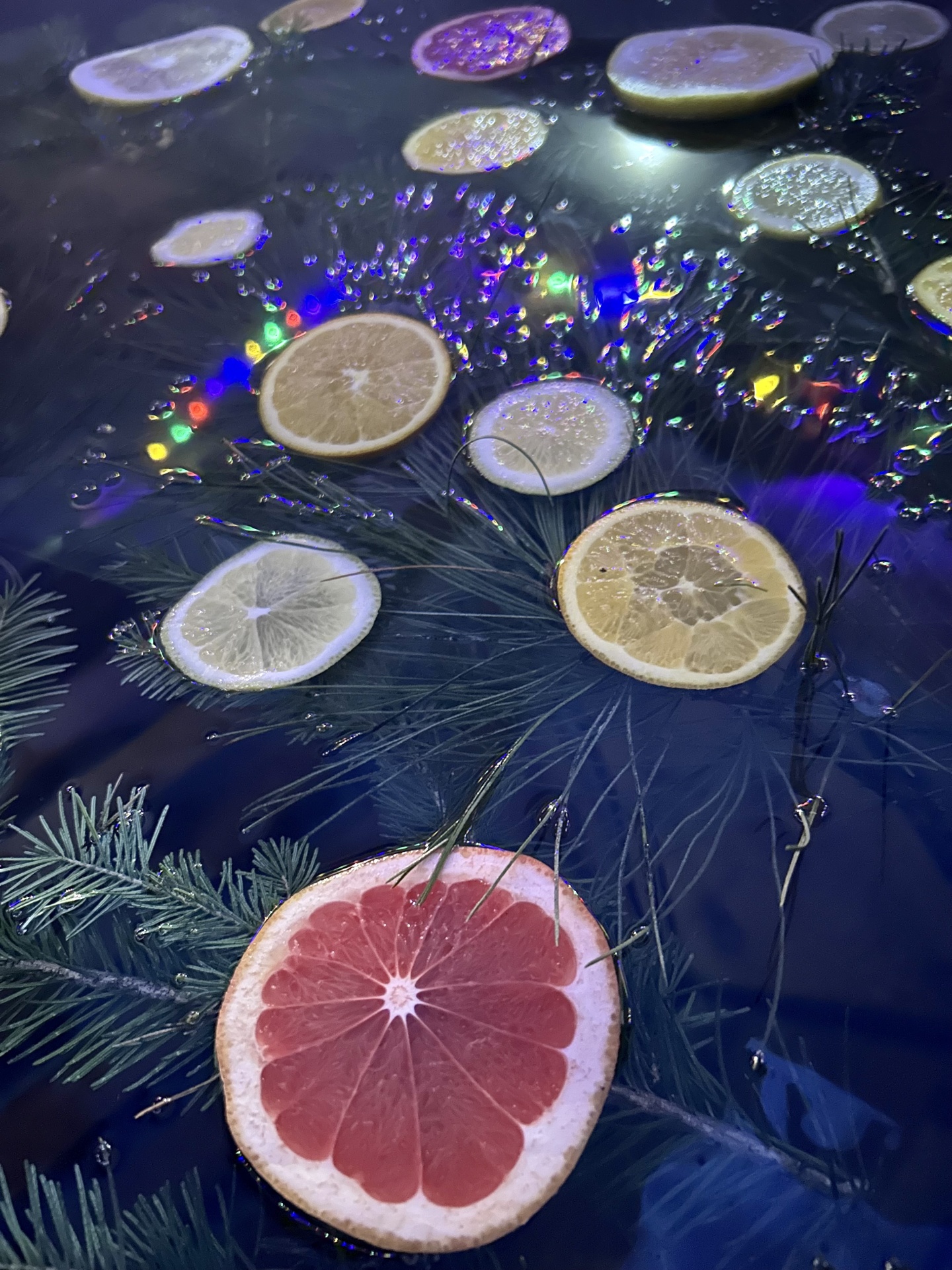 Берег лебеди - фото 20