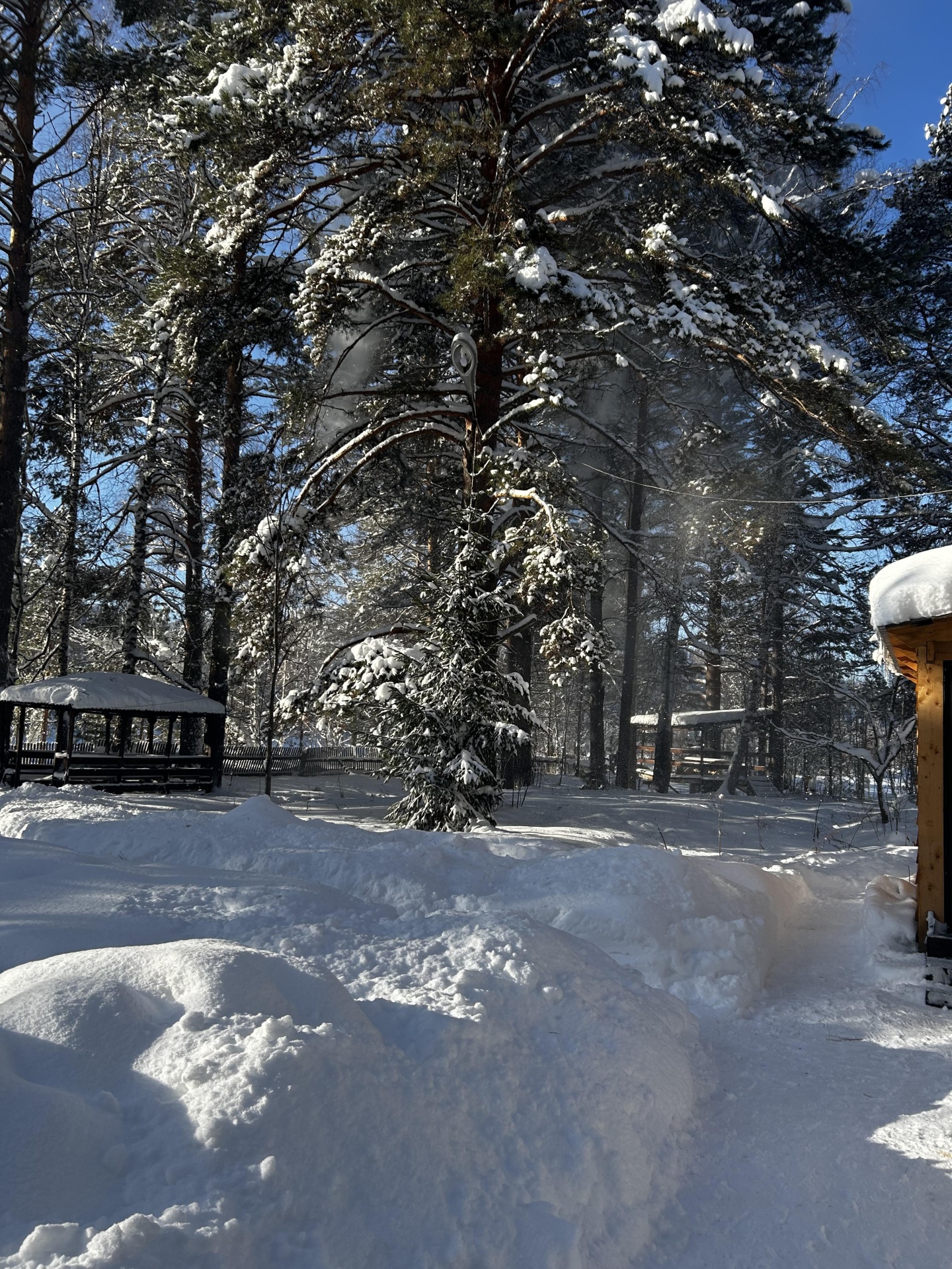 Берег лебеди - фото 24