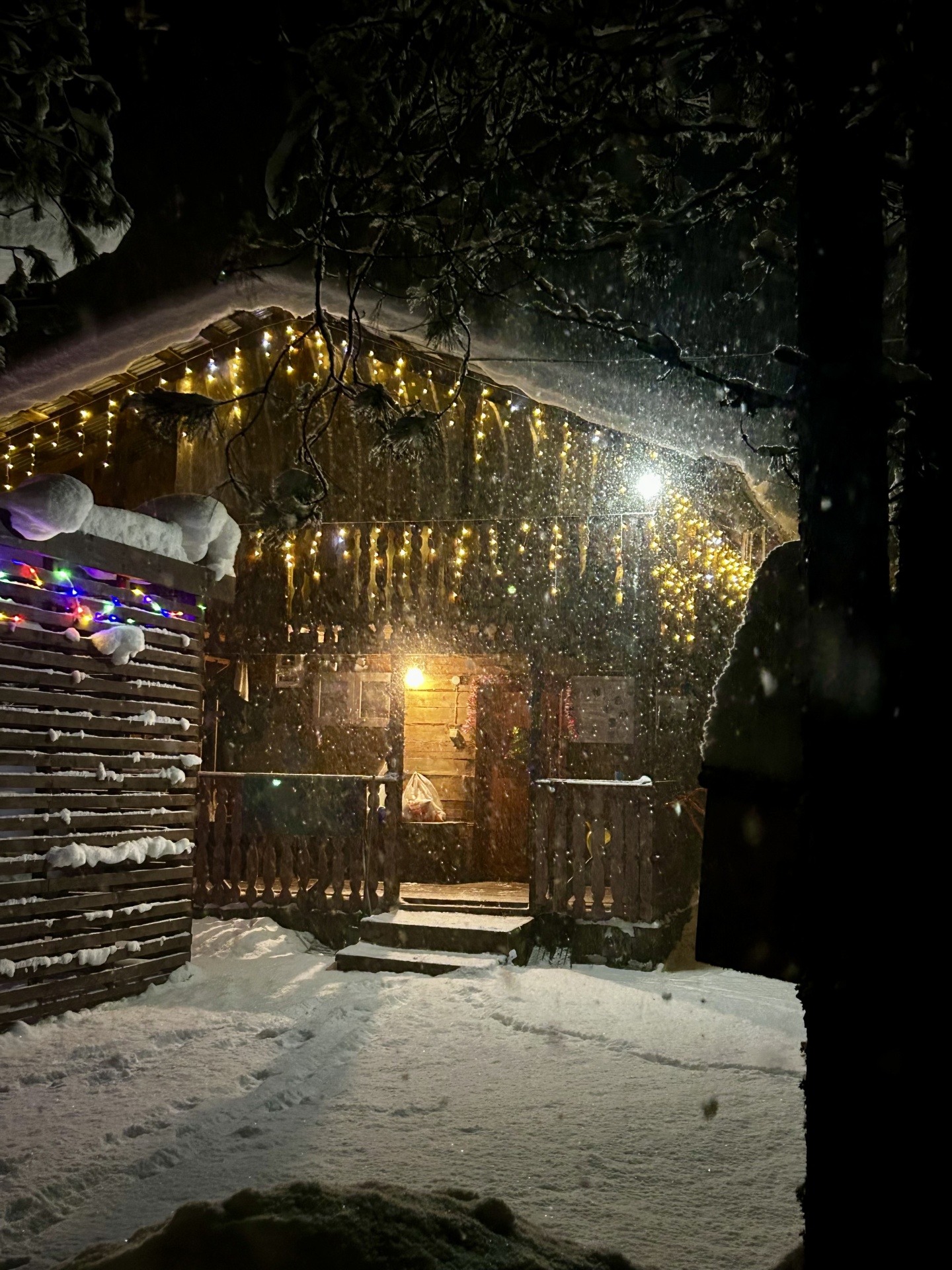 Берег лебеди - фото 25