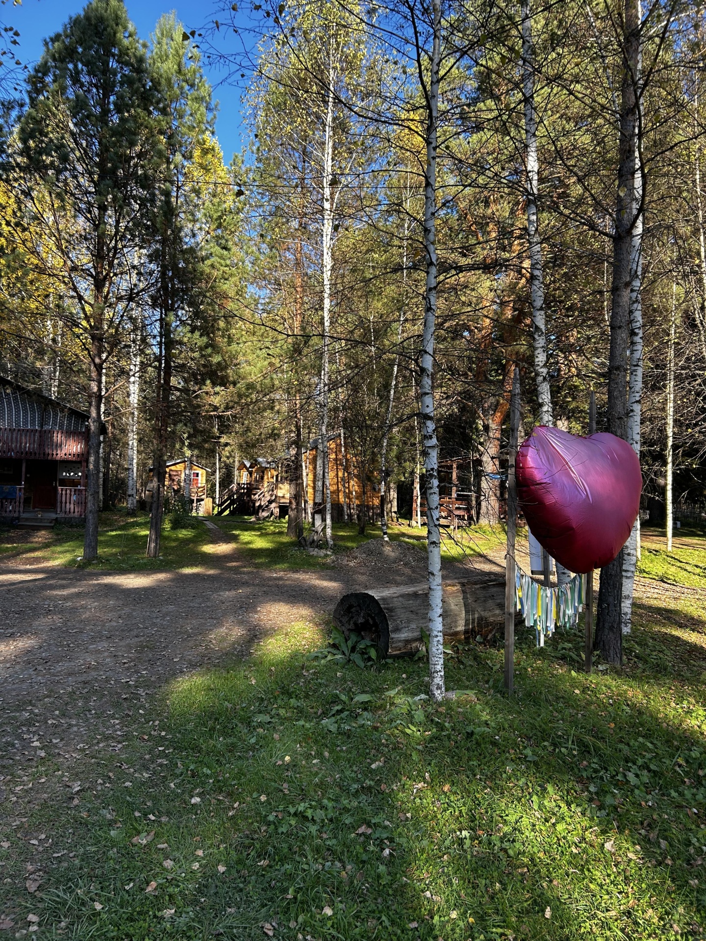 Берег лебеди - фото 26