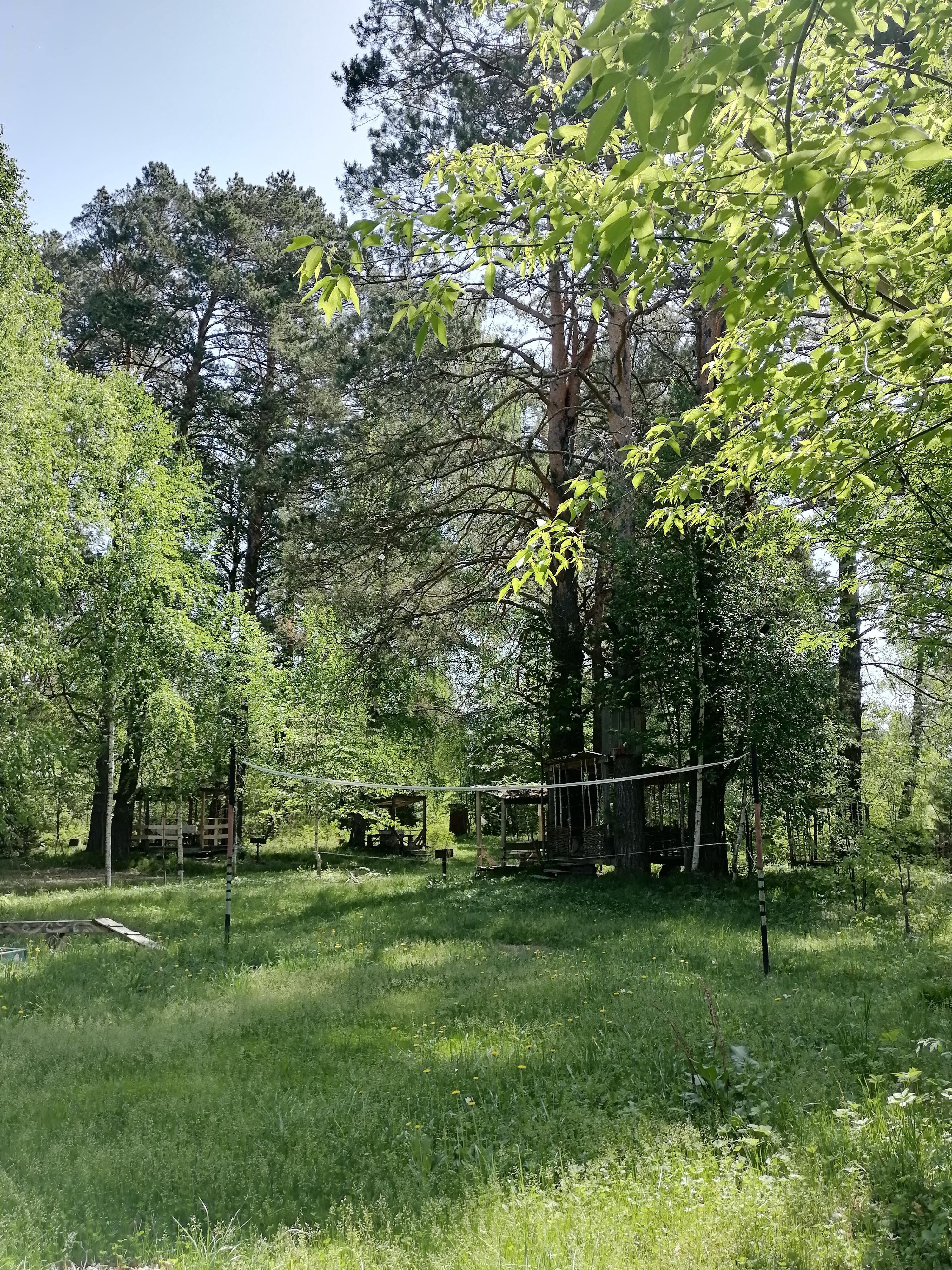 Берег лебеди - фото 27