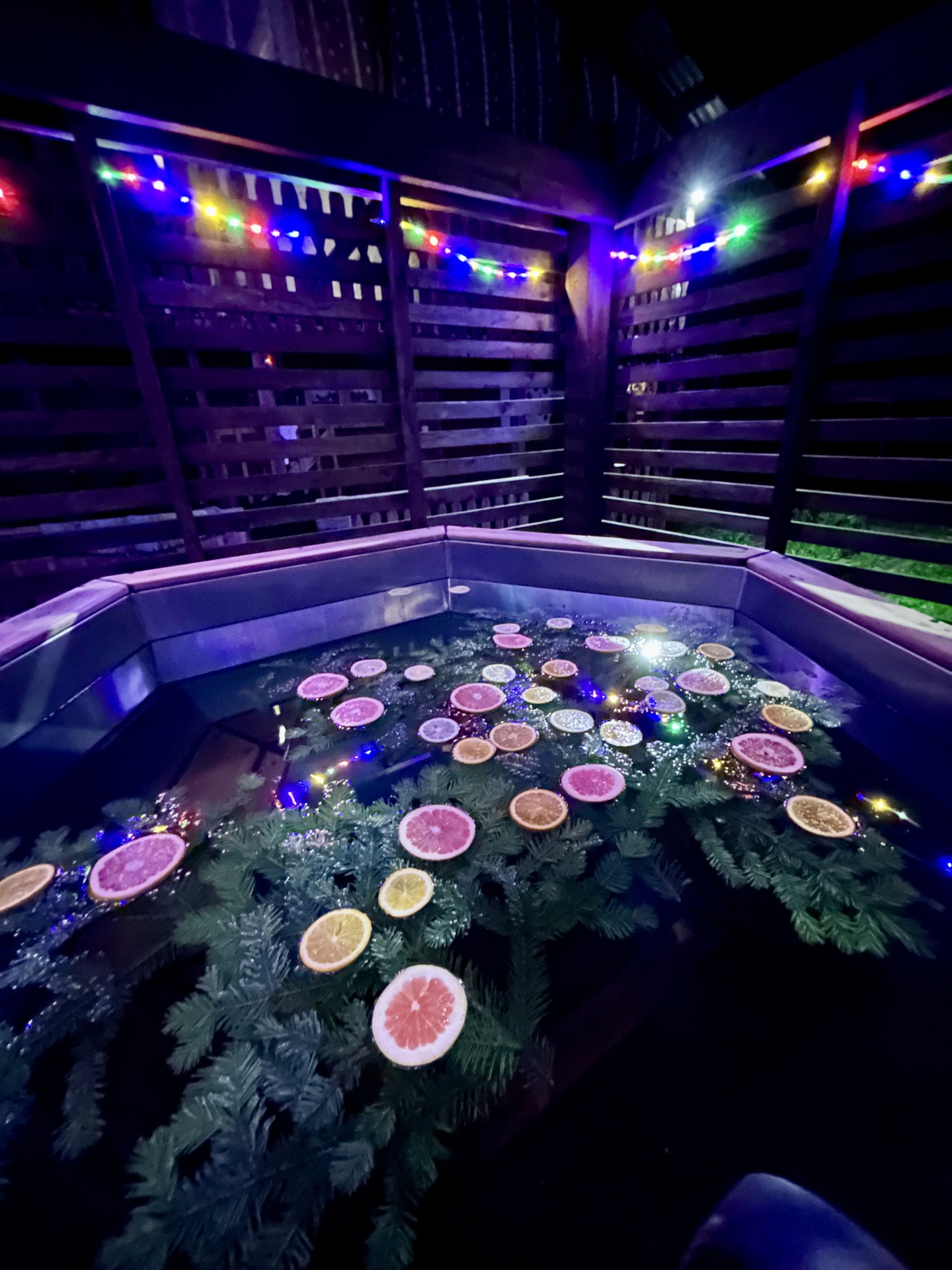 Берег лебеди - фото 29