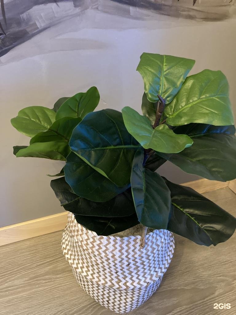 Veresk Altai - фото 48